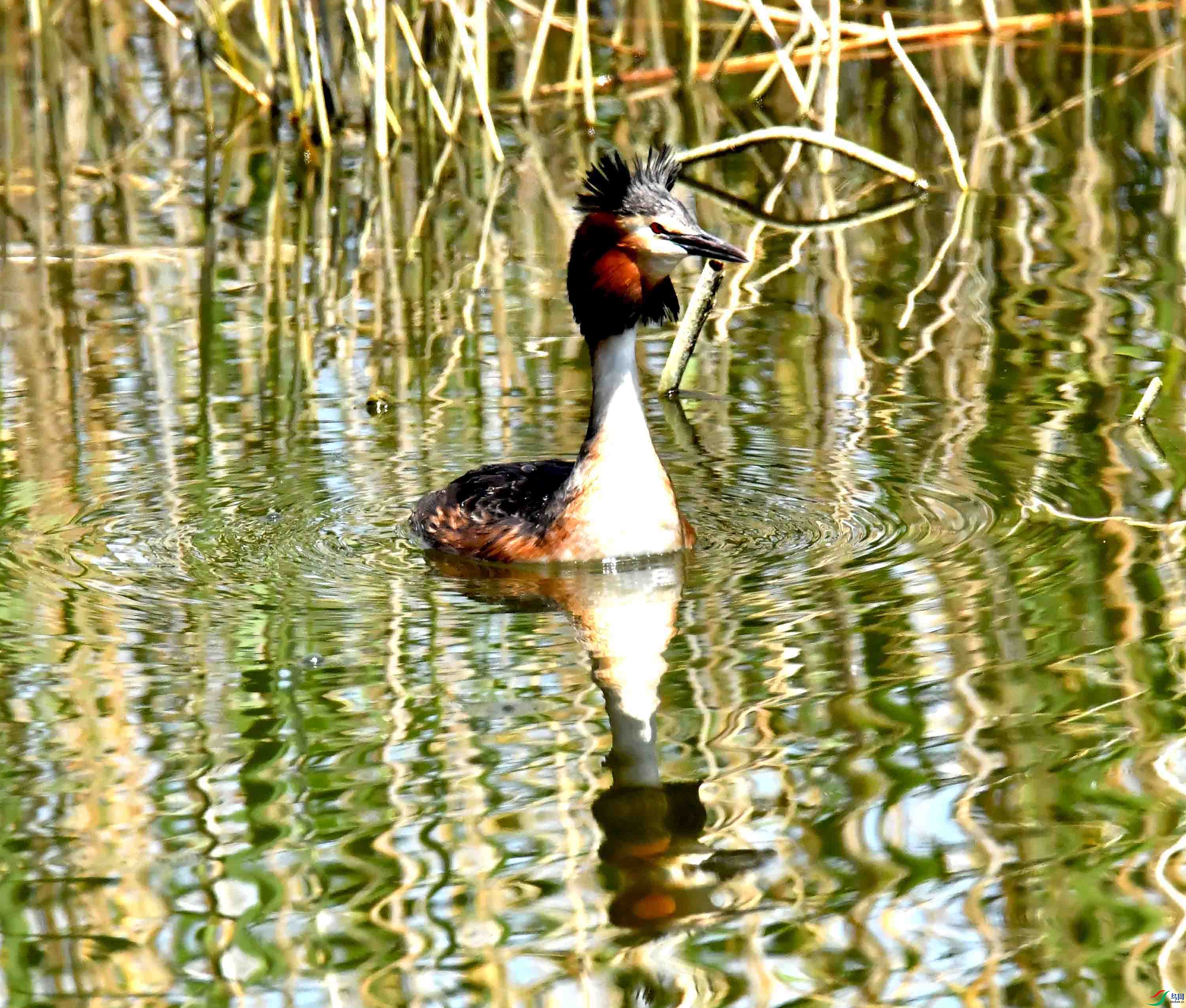 DSC_0297.JPG