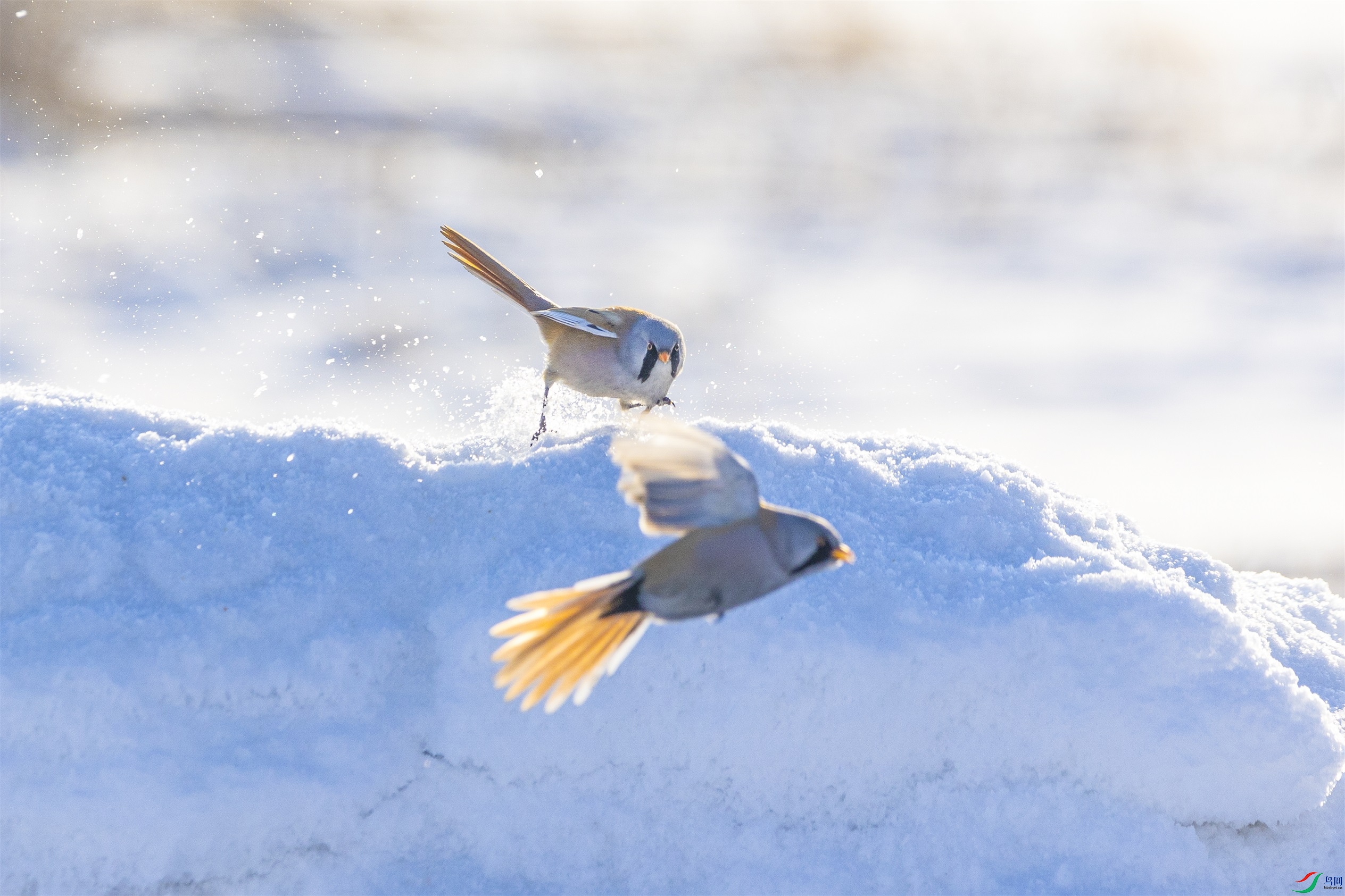 1K3A7707 ����1.jpg