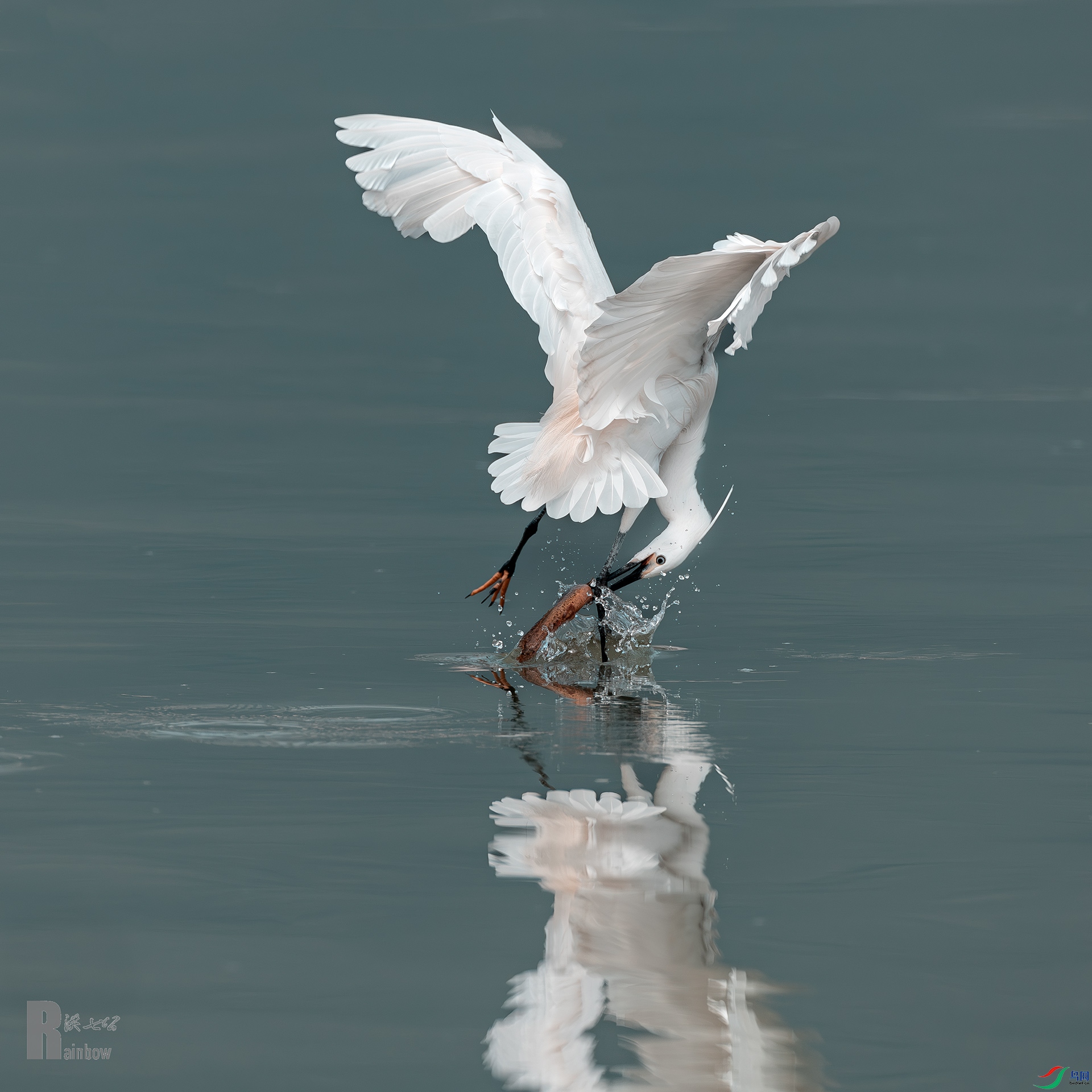 �������Ǻ�ץ����