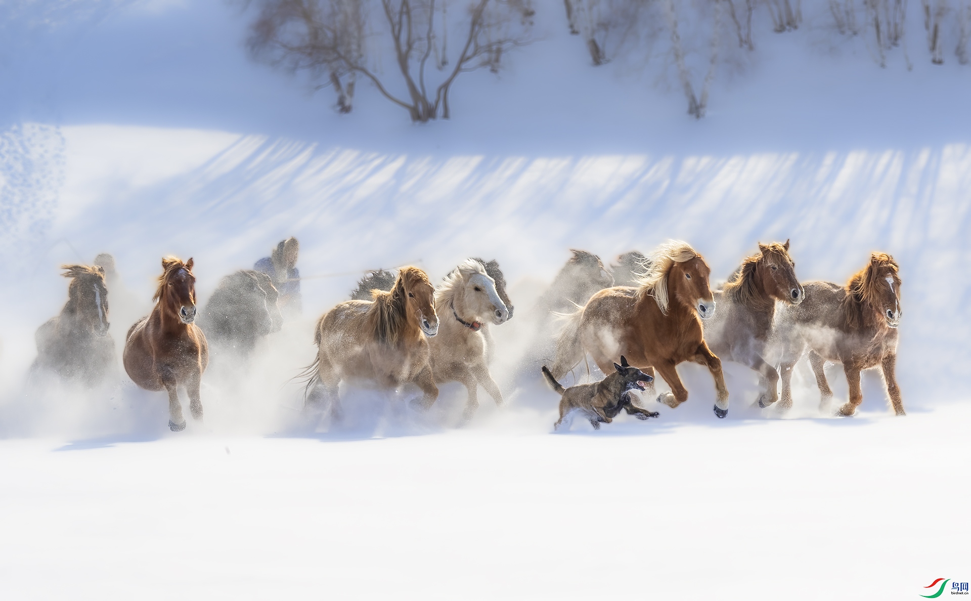 DSC_7068 - Ȯ��ͬ��.jpg