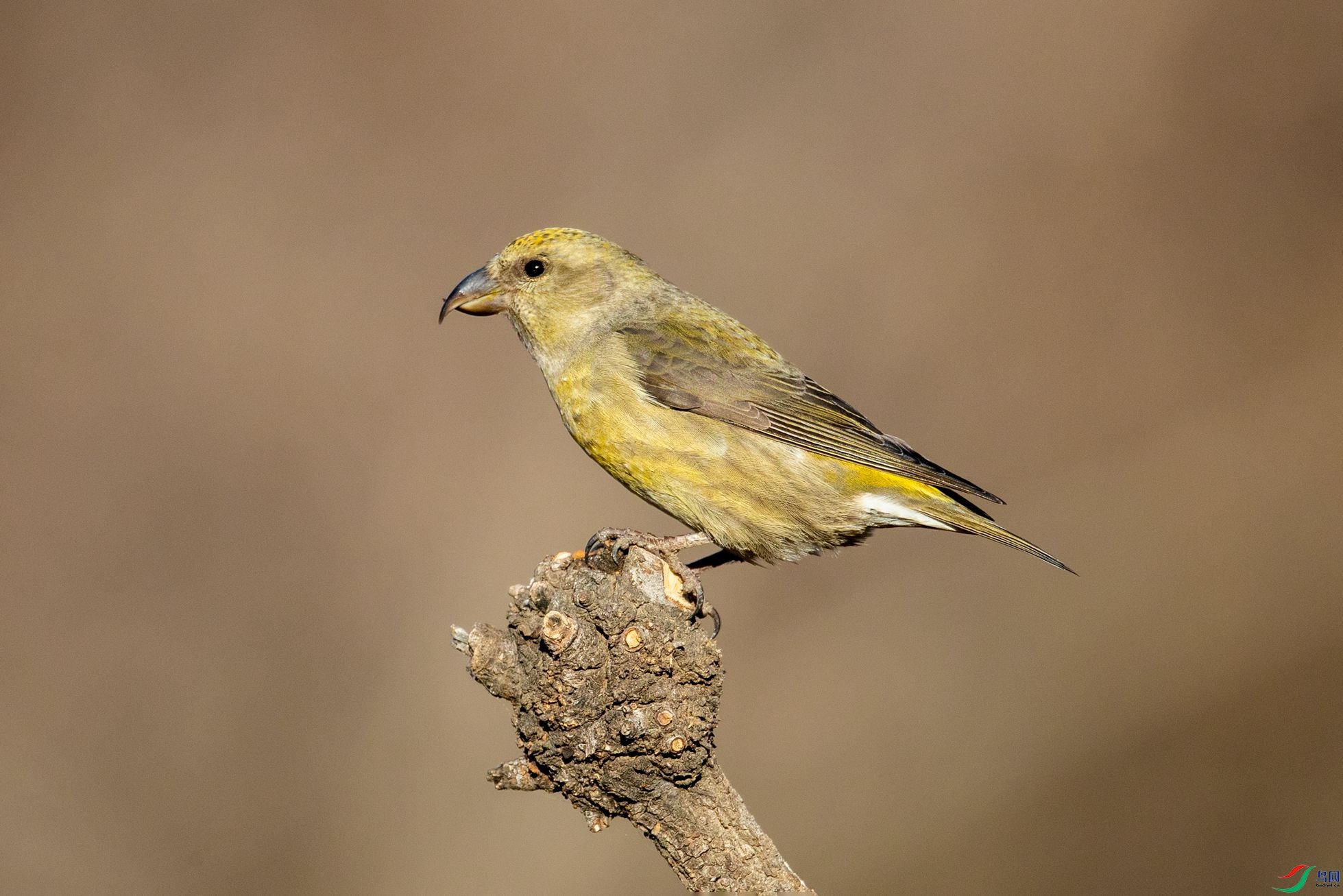BN5I6269_����.jpg
