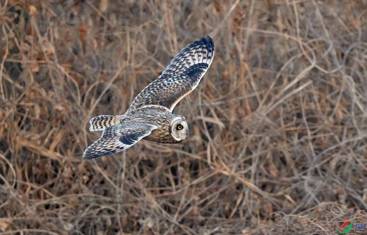 DSC_7991.JPG