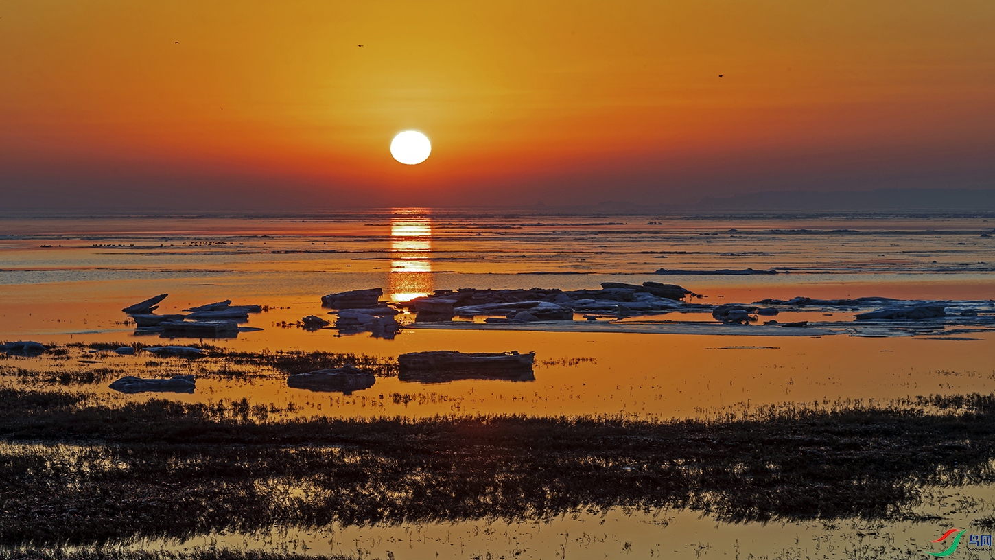 _1LM0433a.jpg