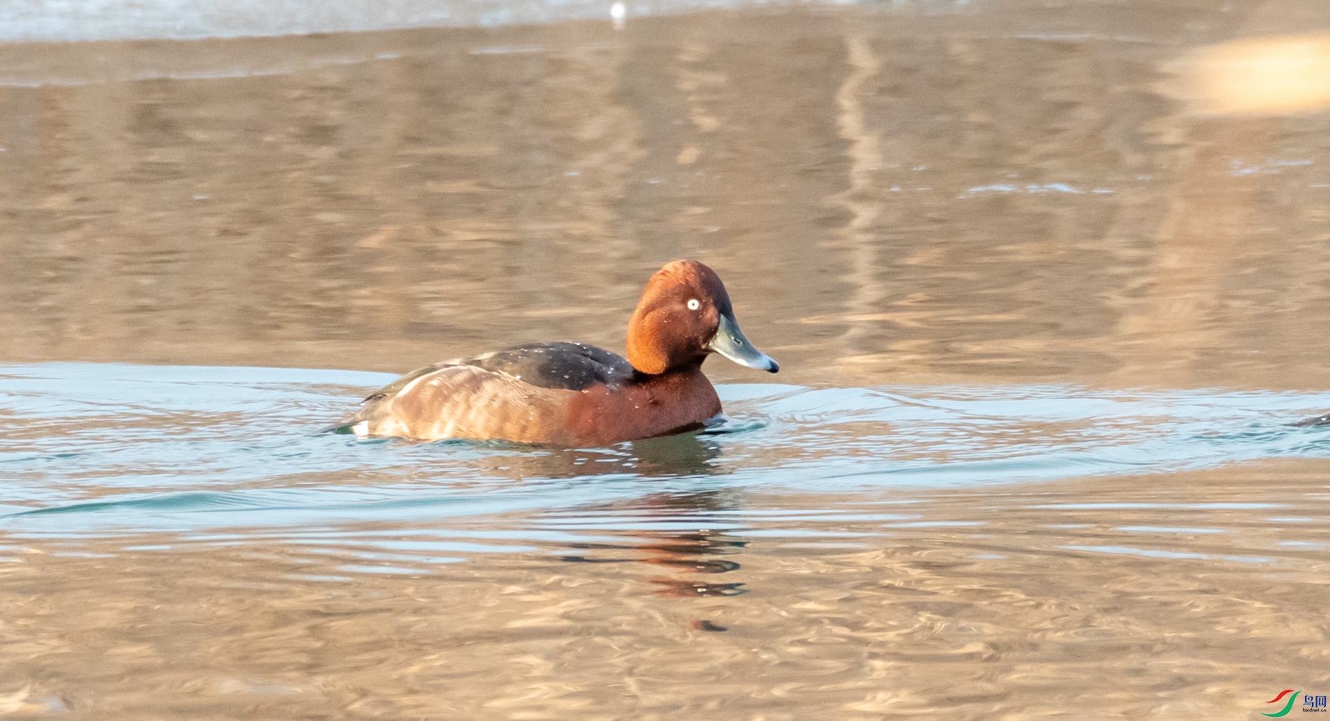 DSC_9166.jpg
