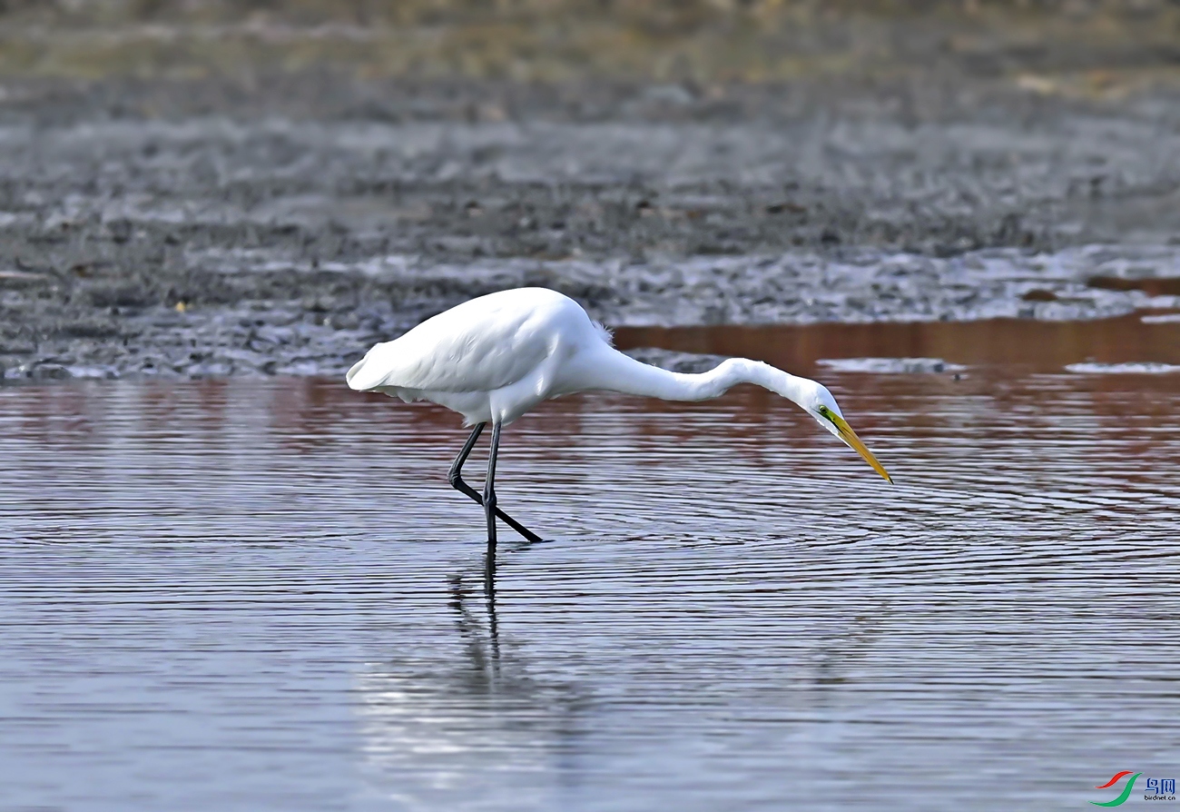 _DSC5408f.jpg