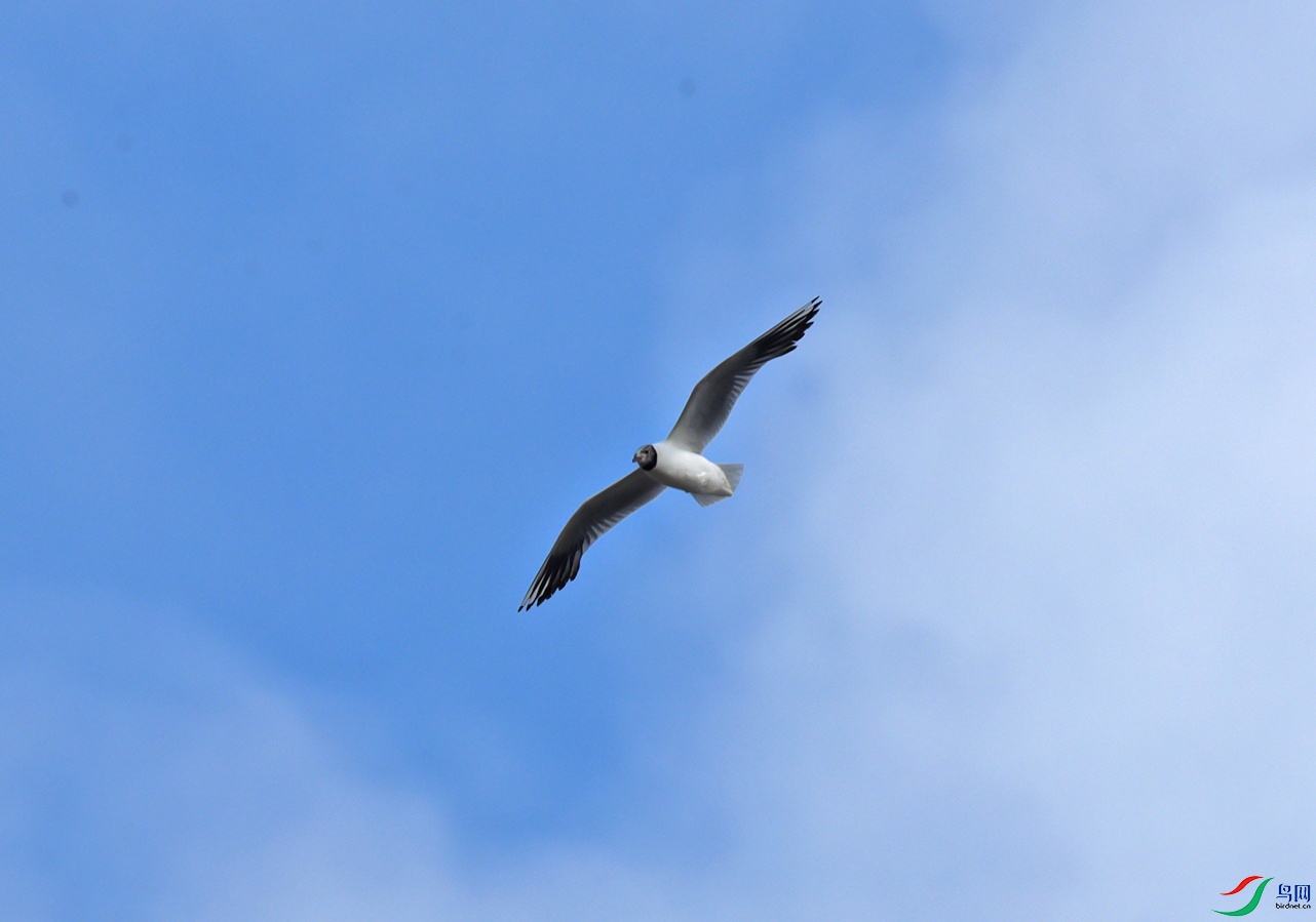 DSC_5750f.jpg