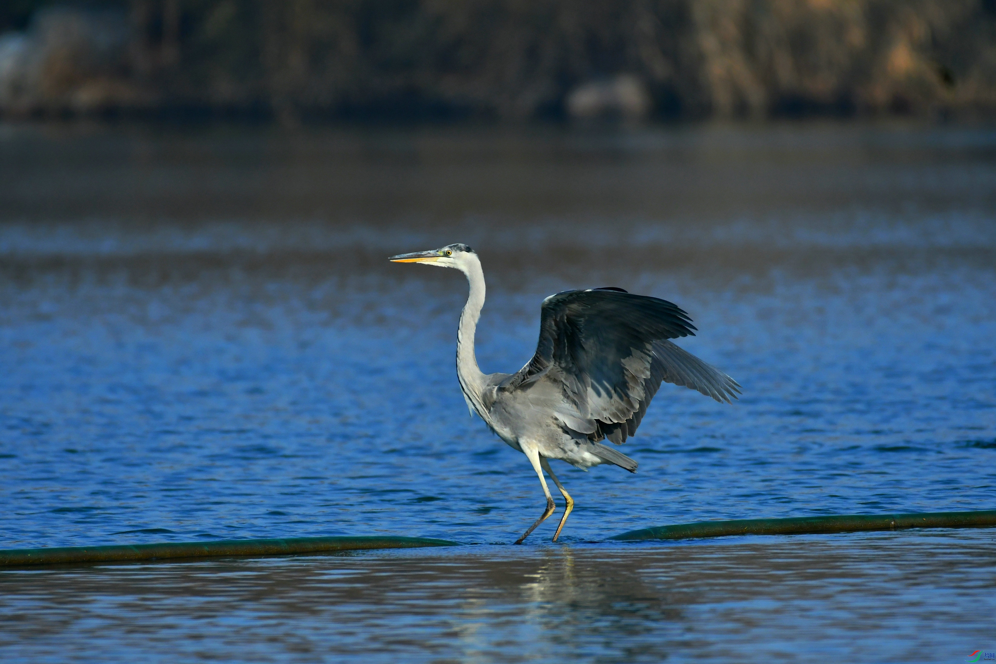 DSC_3039.JPG