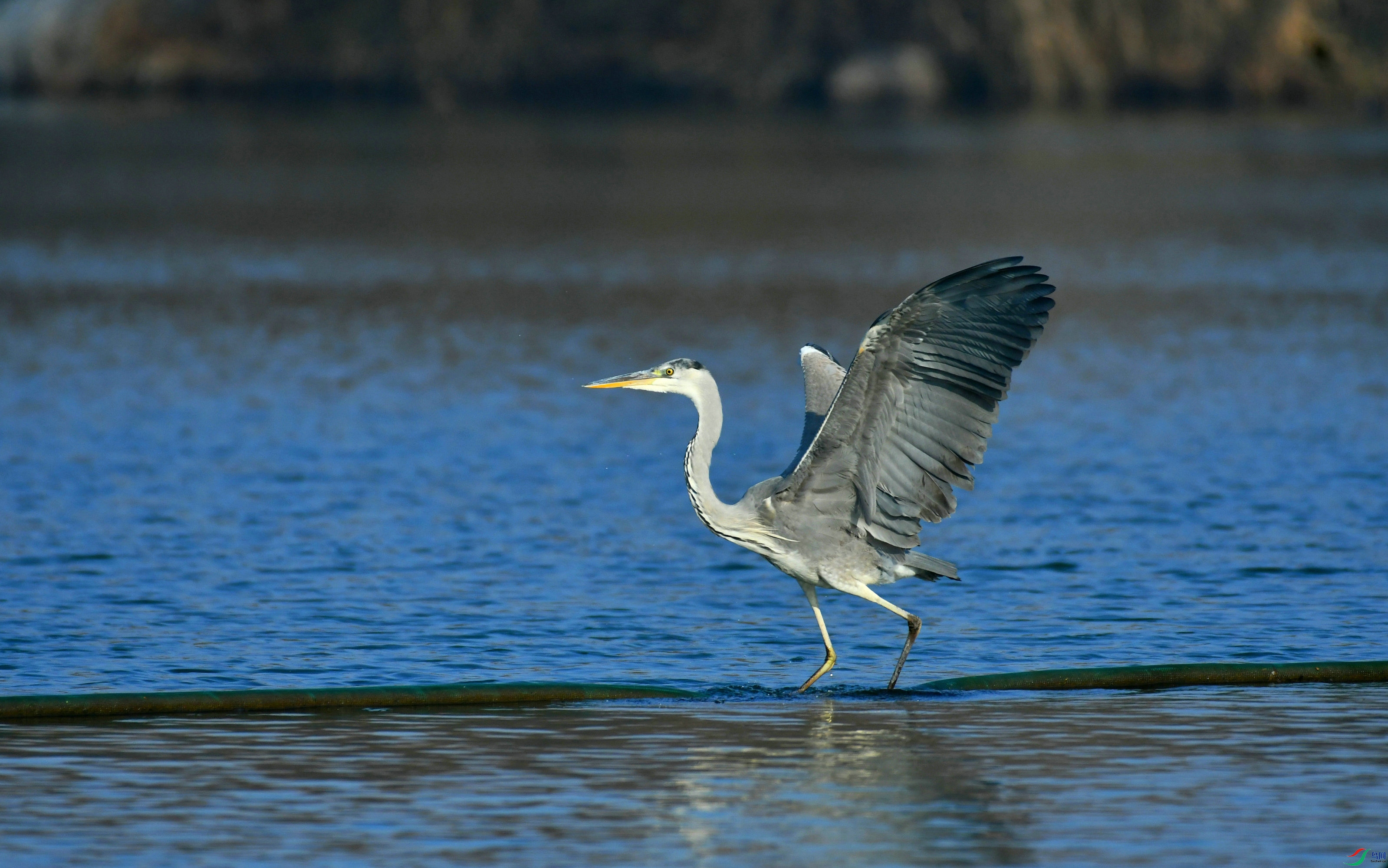 DSC_3037.JPG