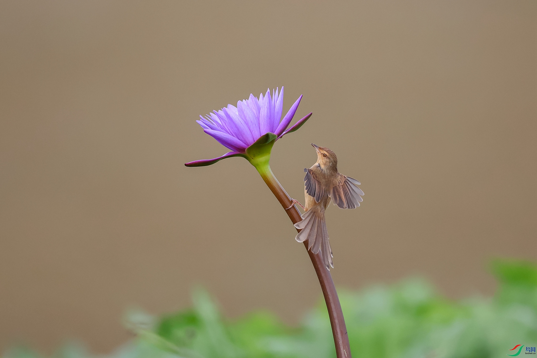 0E2A4247_����.jpg
