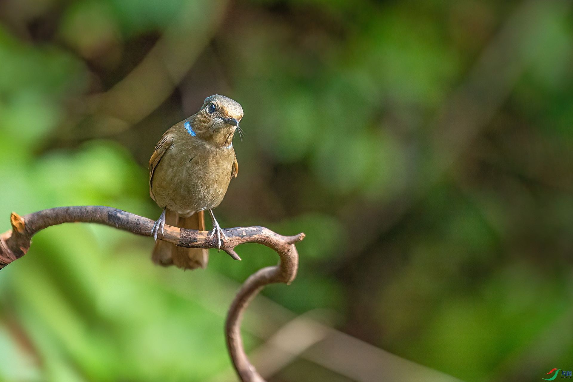 DSC_1970.jpg