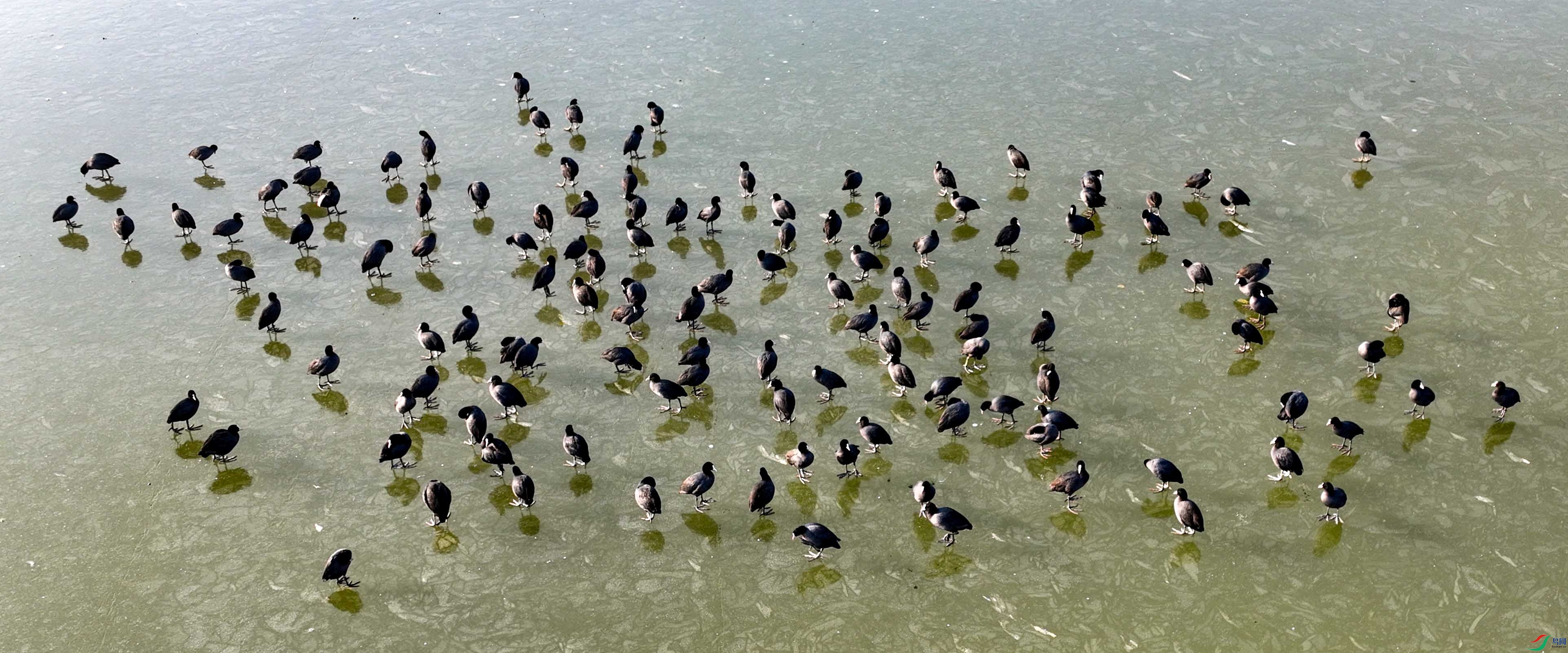 DJI_0089.JPG