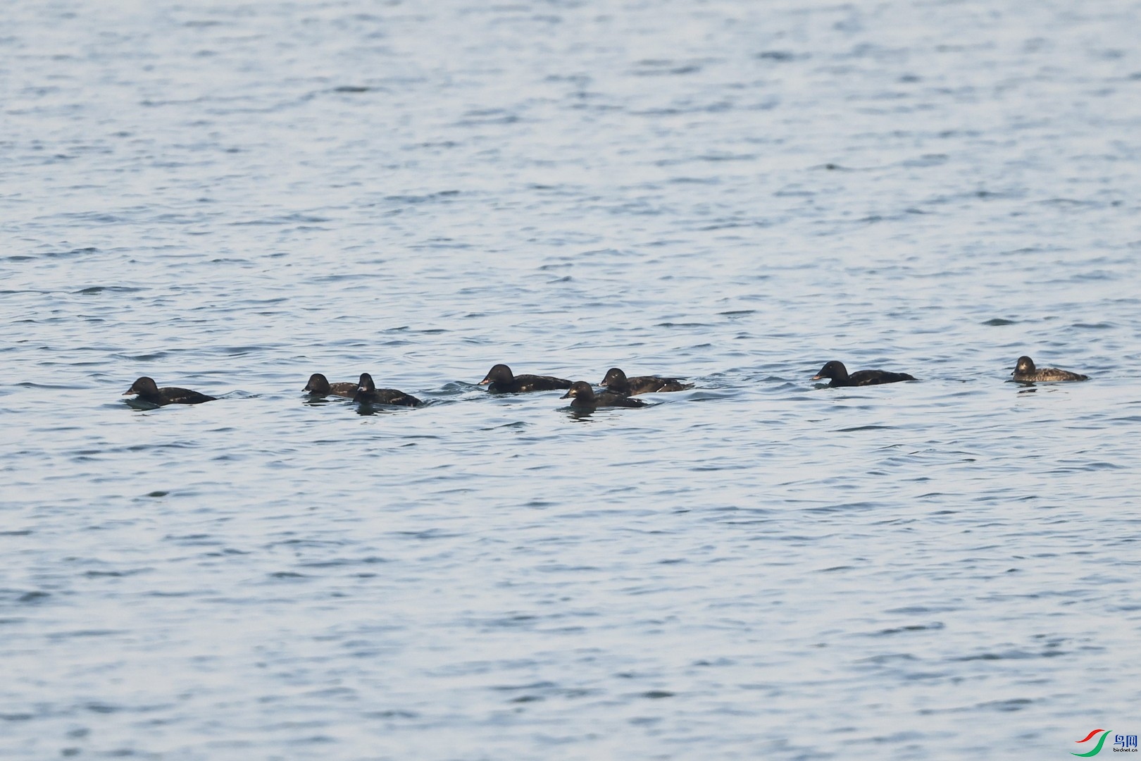 ����Ѽ ��_98A3588.jpg