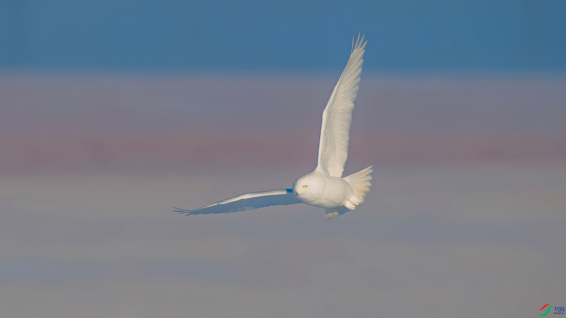 _DSC2157==1w.jpg