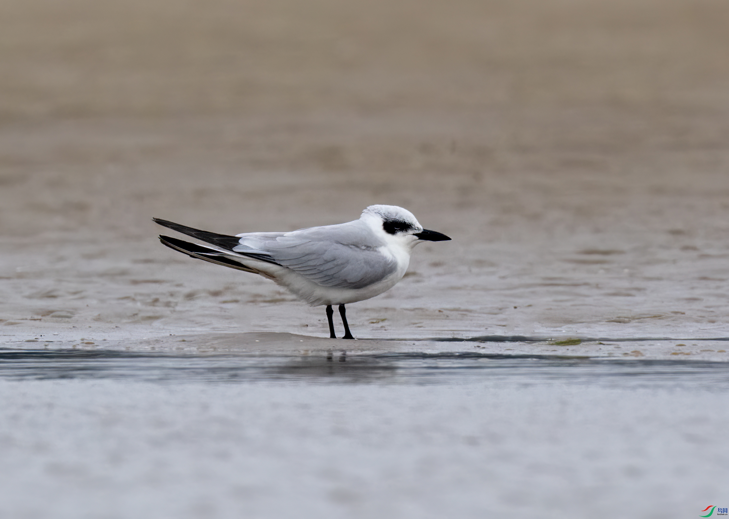 _DSC6723 ����.jpg