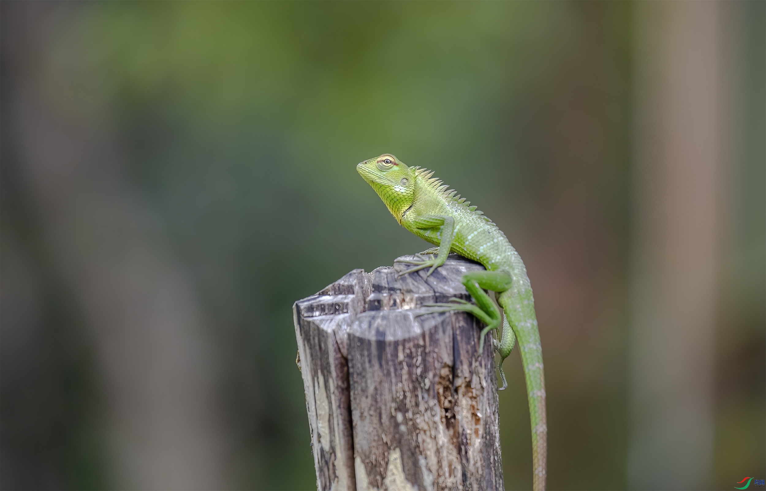 CB0A0190 ����.jpg