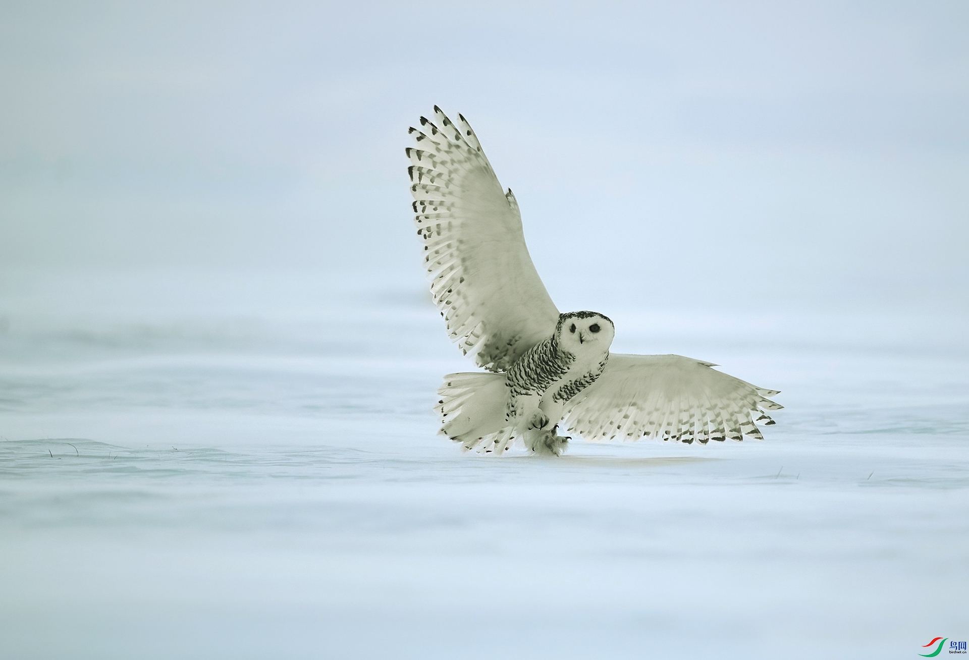 _DSC9380.jpg