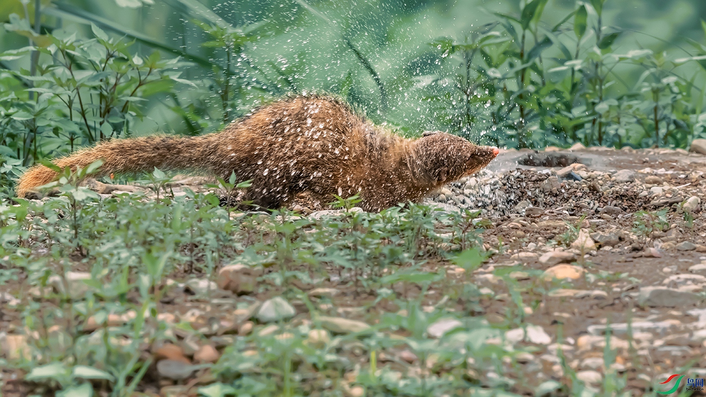 ʳз�B----ŭ�����