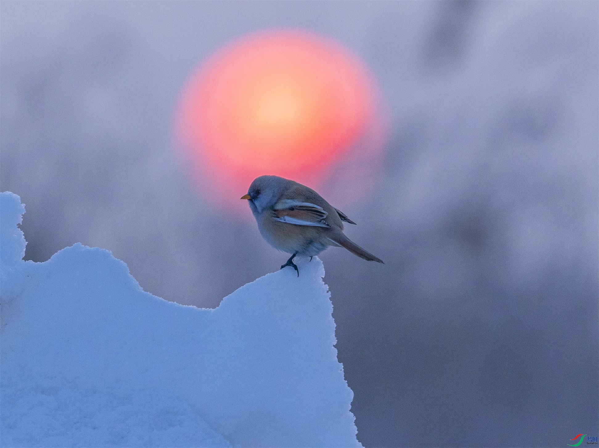 1K3A8815 ����1.jpg