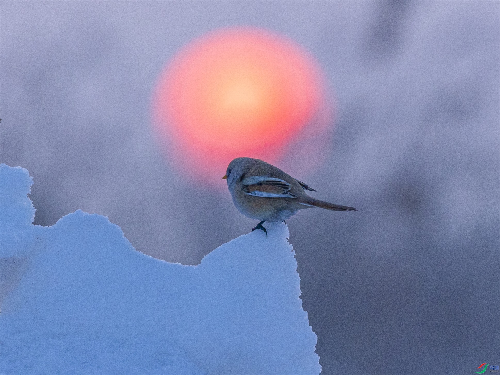 1K3A8820 ����1.jpg