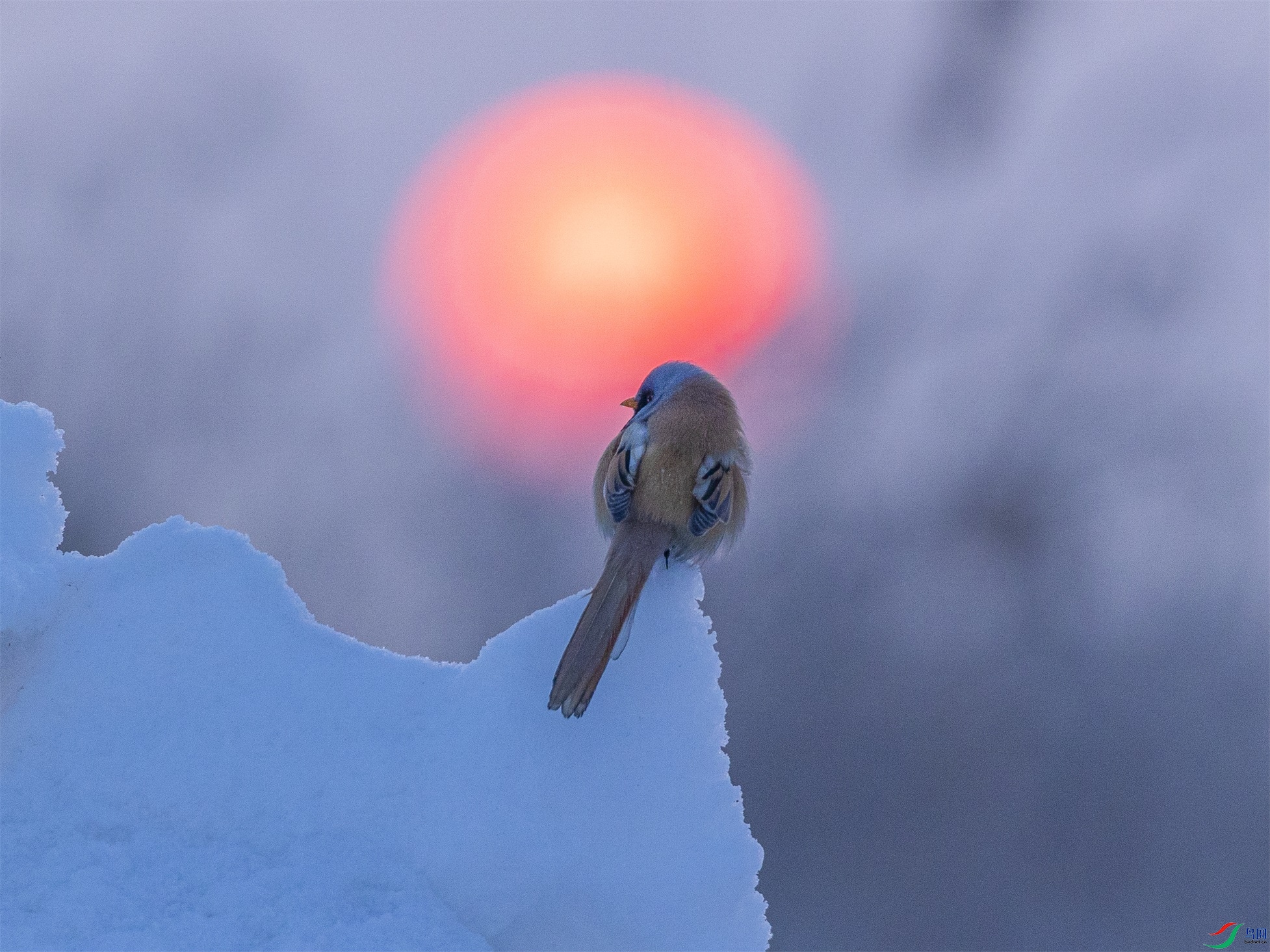 1K3A8840 ����1.jpg