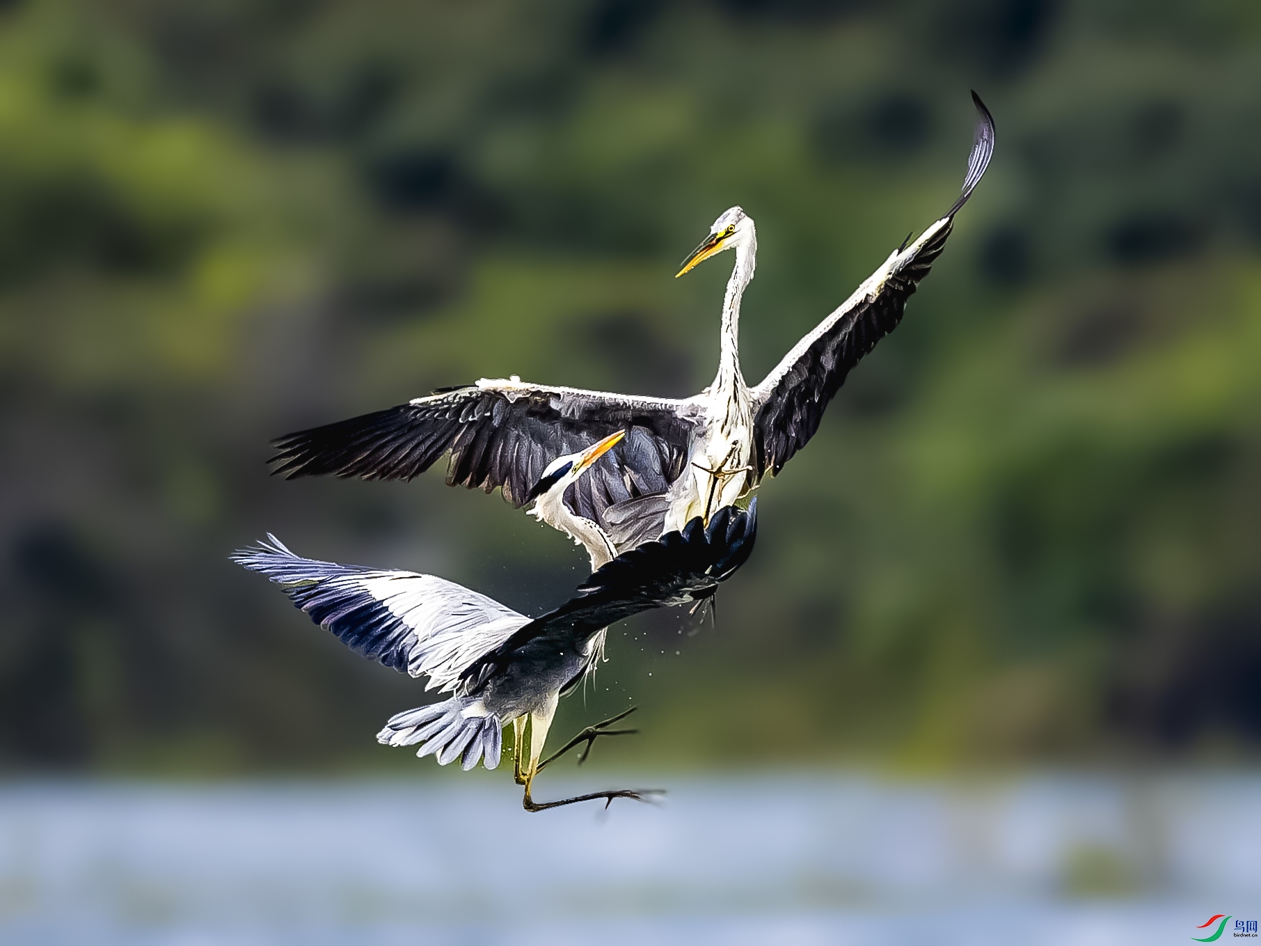 4Z6A8484-3.jpg