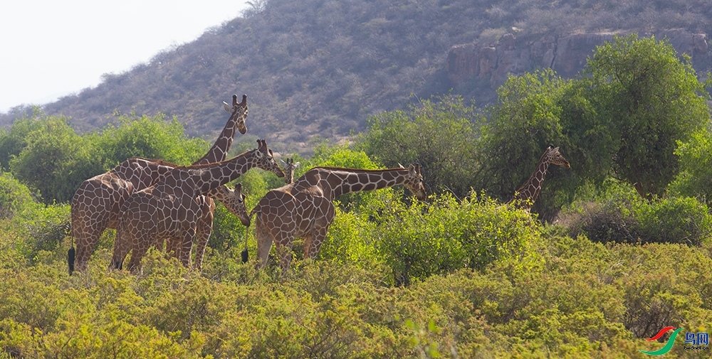 ����¹ (16).jpg