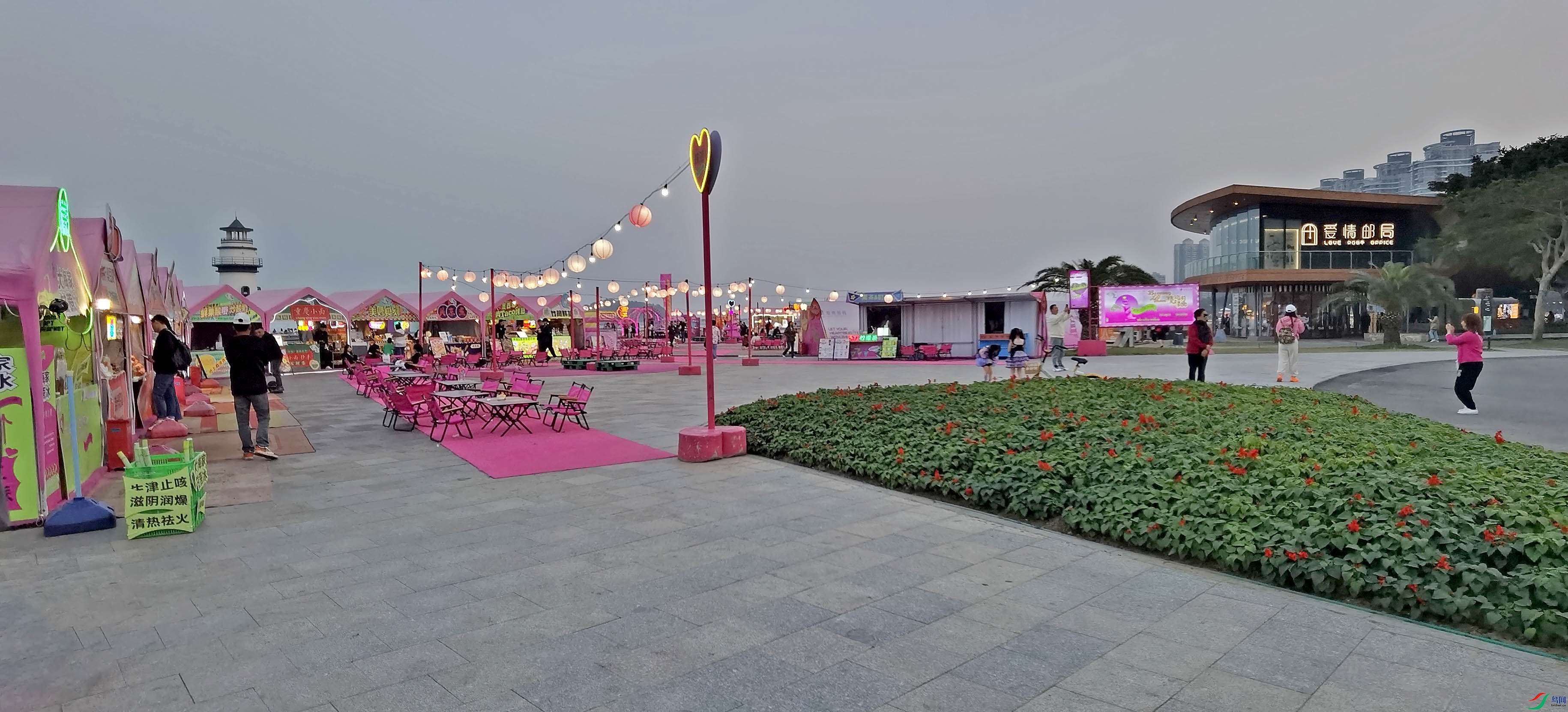 DSCN2390.jpg