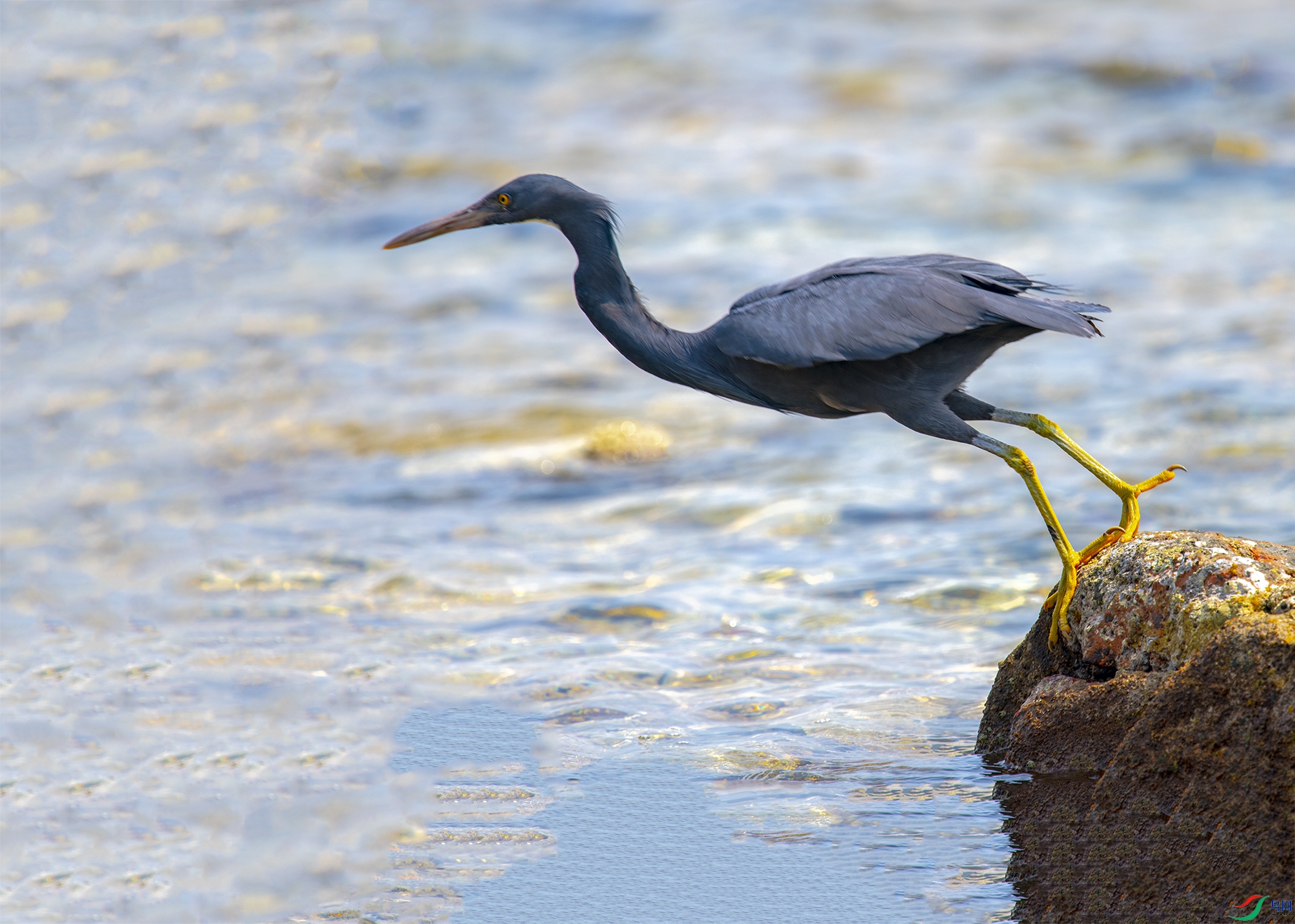 1941 ����.jpg