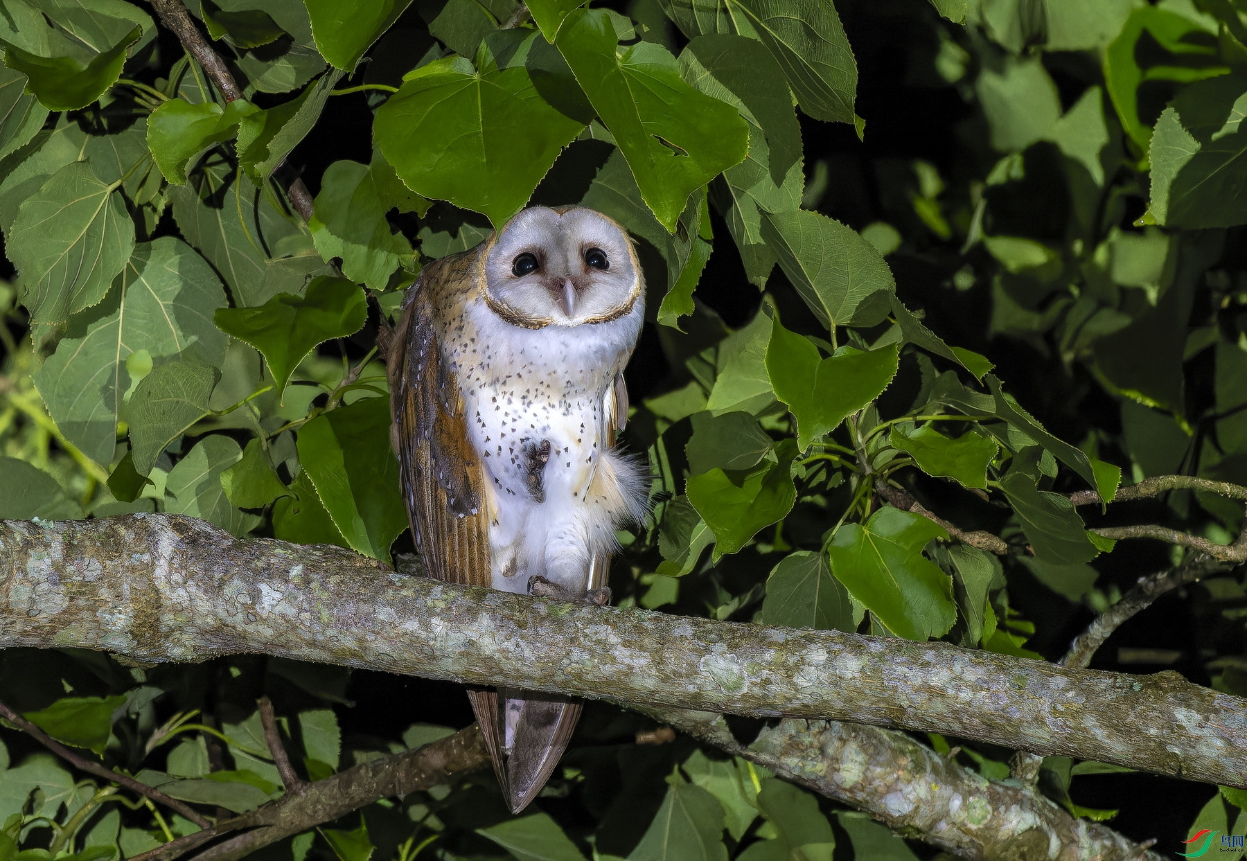 ���^ -10-1.jpg