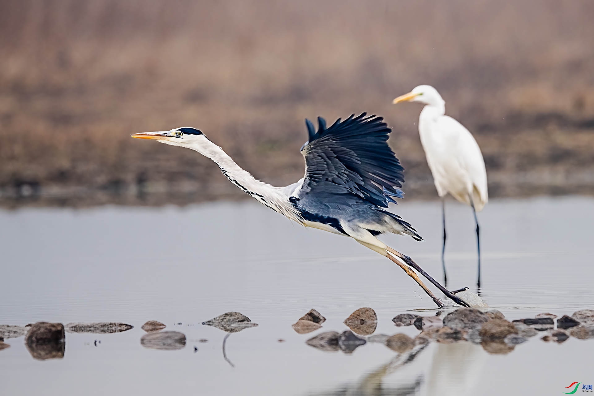 _DSC1506 ����.jpg