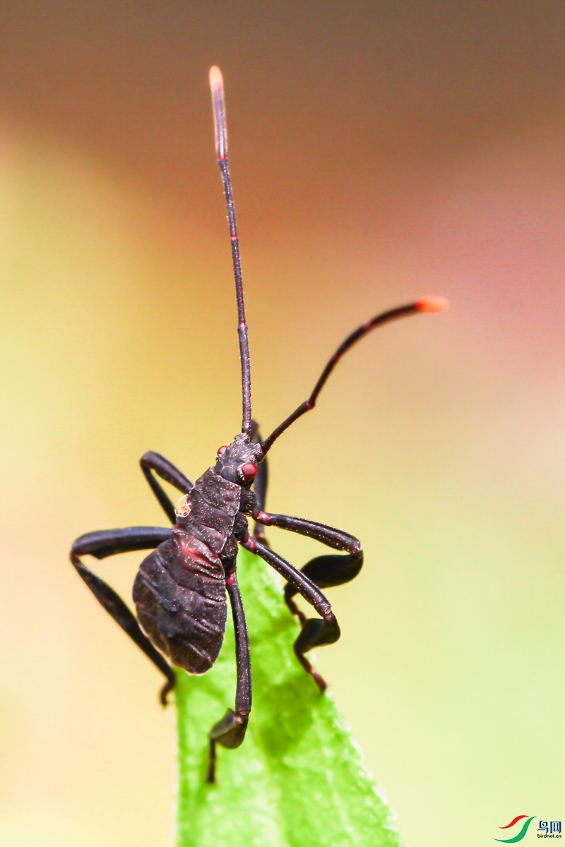 EOS 650D_4995.jpg