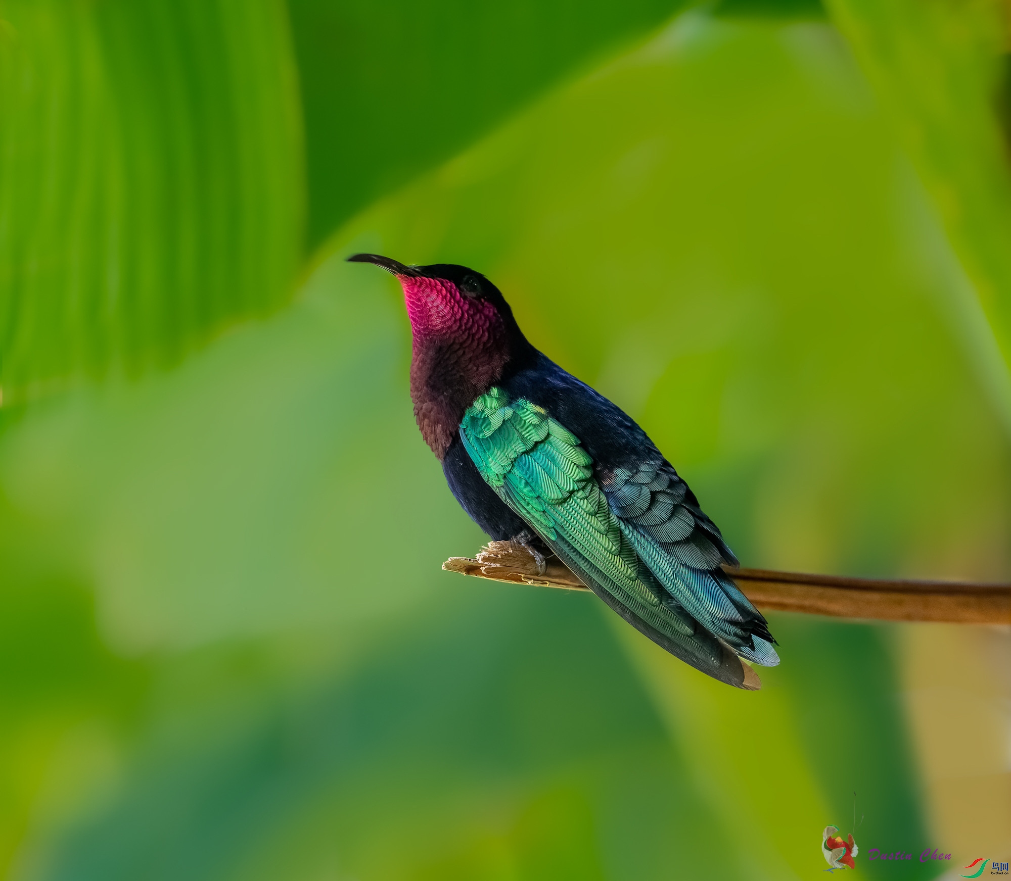 �Ϻ�����