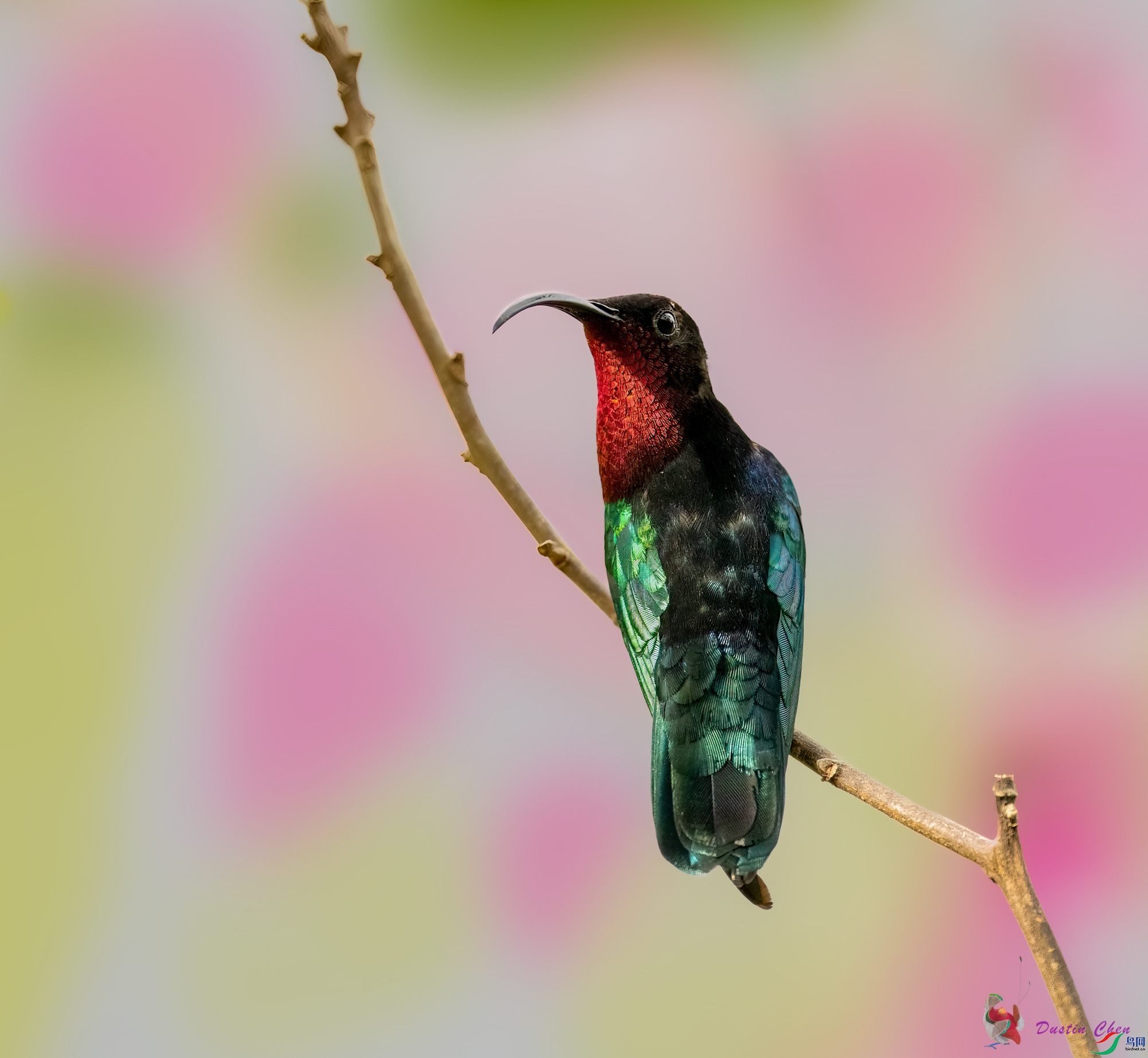 �Ϻ�����