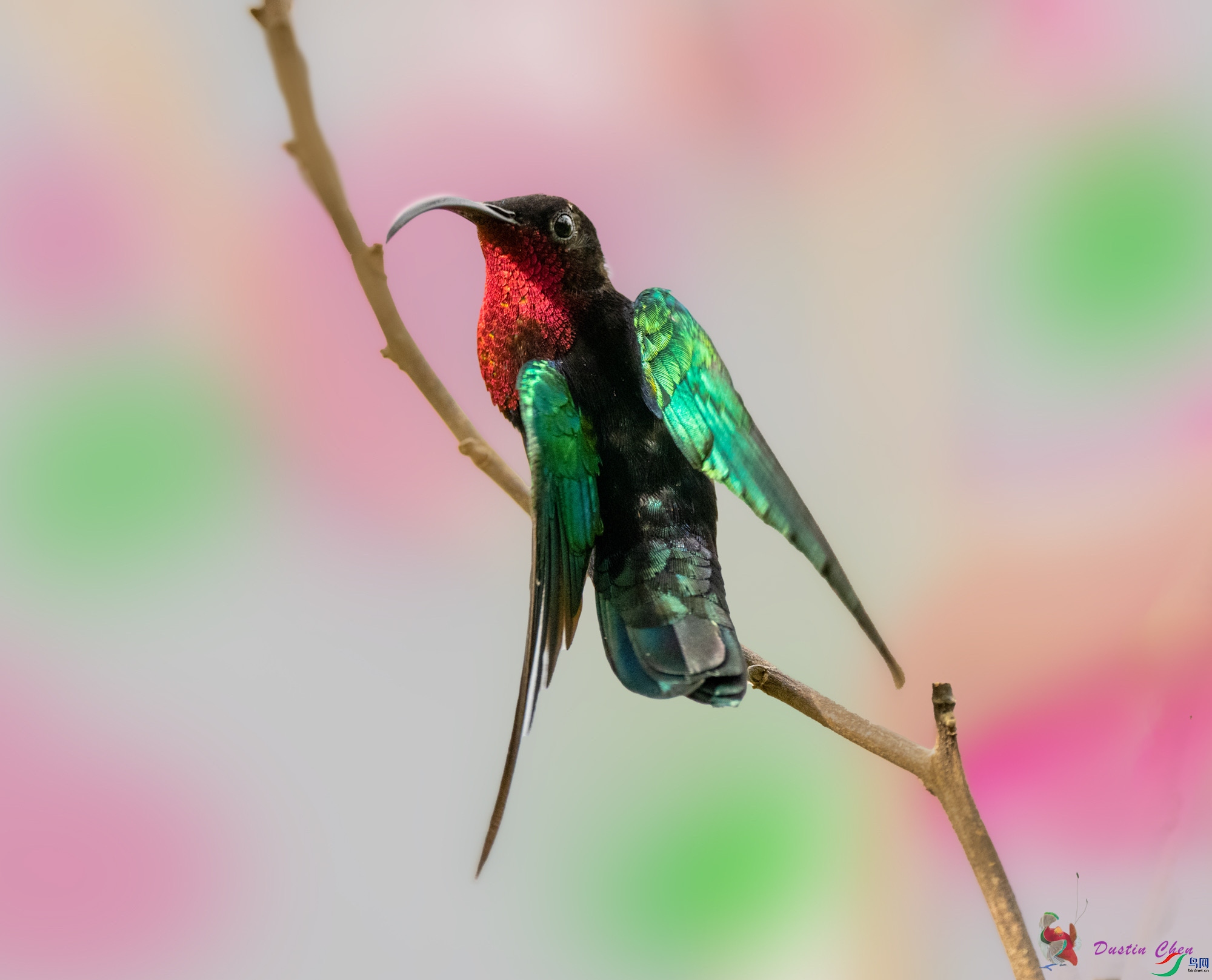 �Ϻ�����