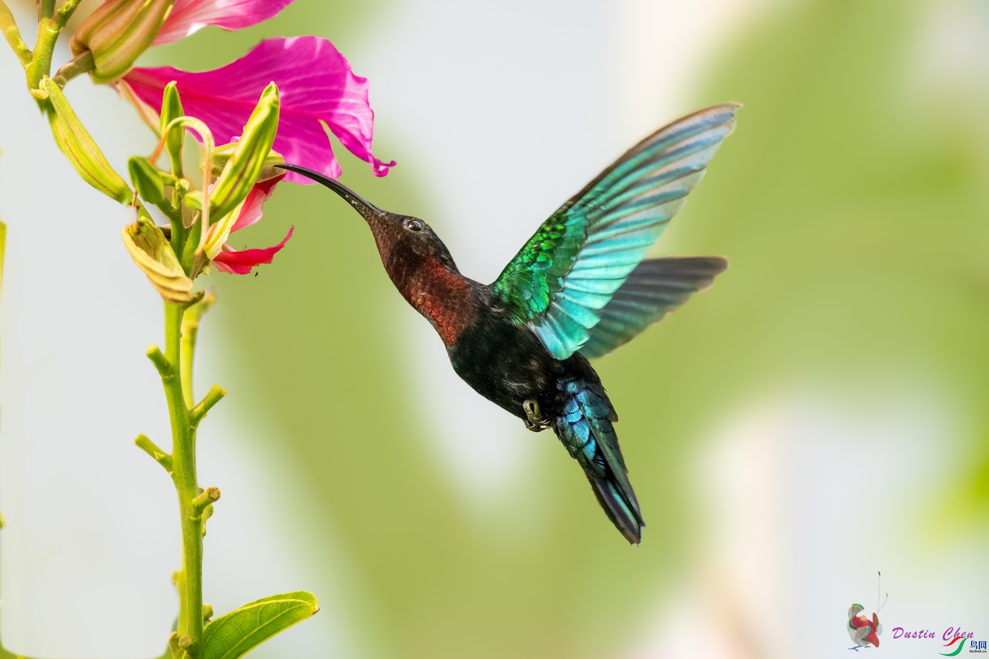 �Ϻ�����