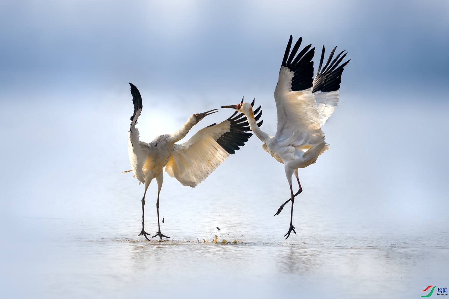 LZW07272-����ǿ-NR ����.jpg