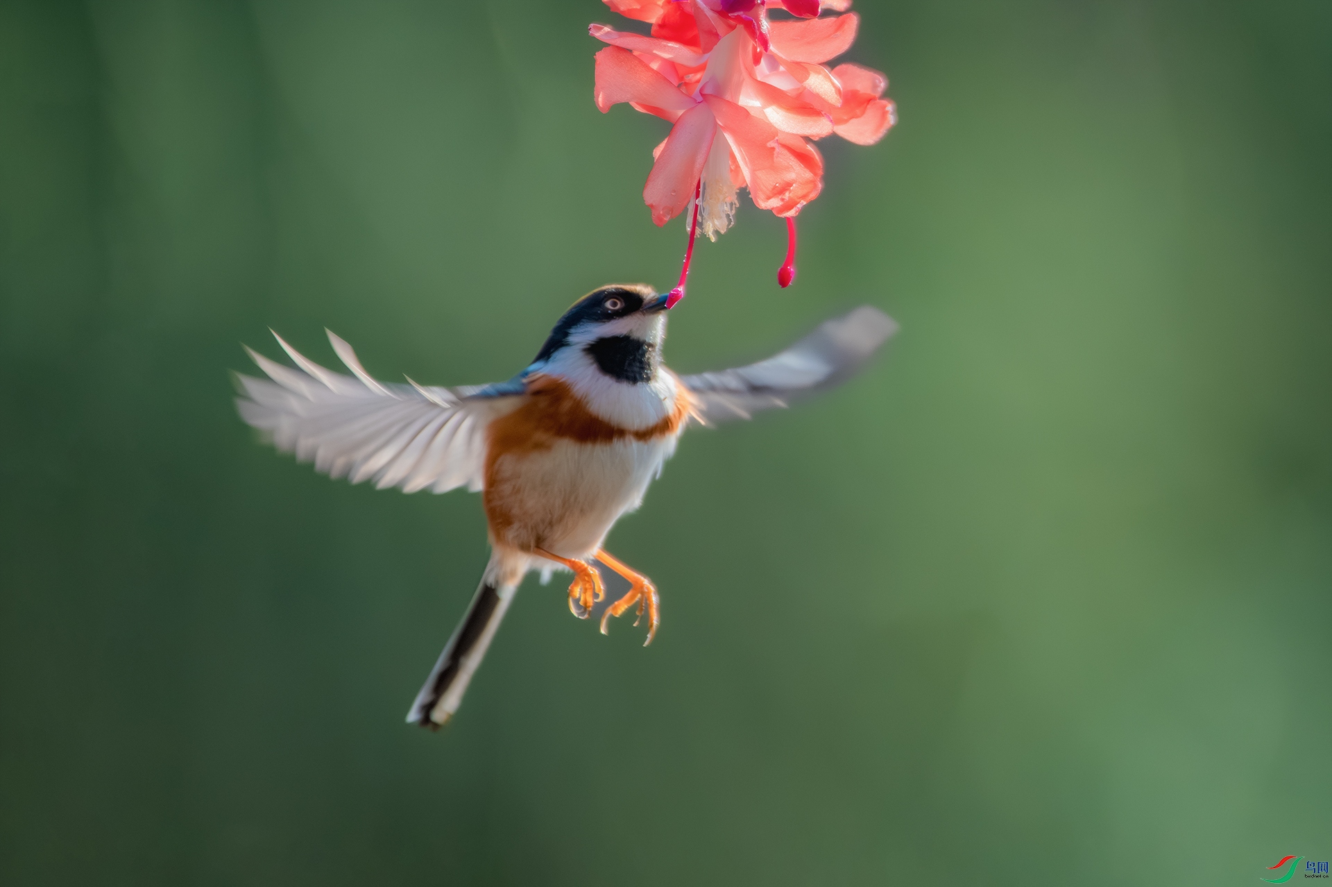 _DSC7208-����ǿ-NR ����С.jpg