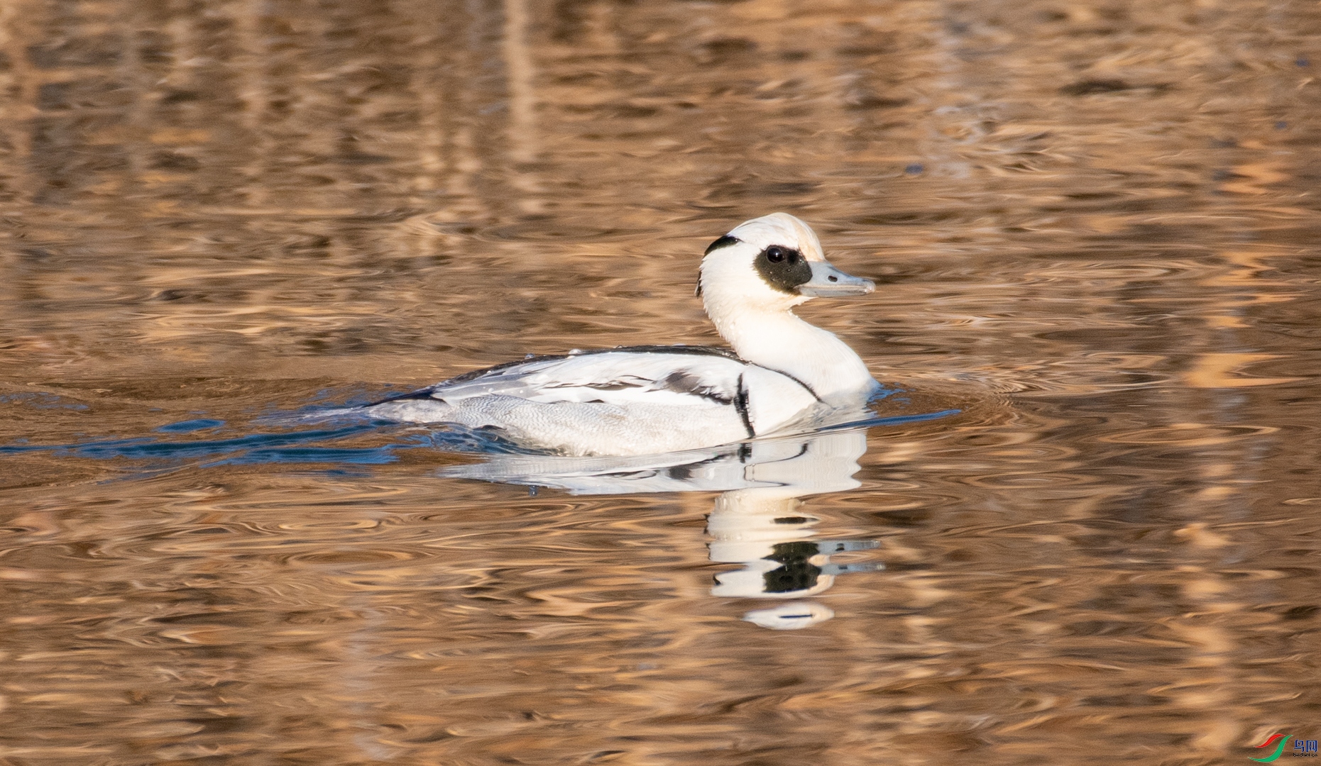 DSC_5324.jpg