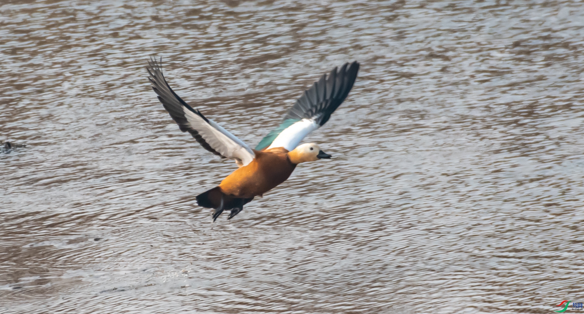 DSC_7227.jpg