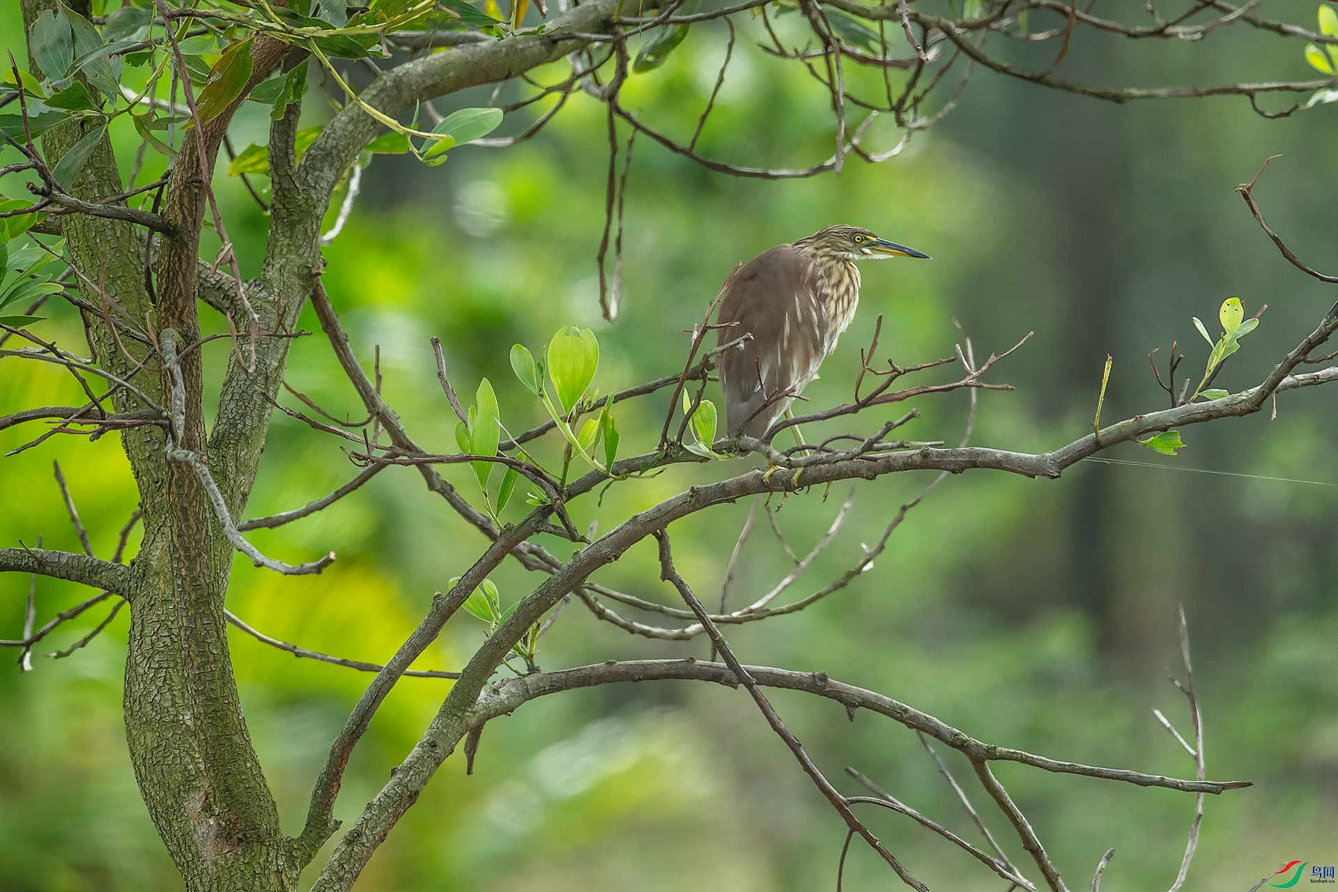 DSC_5775.jpg