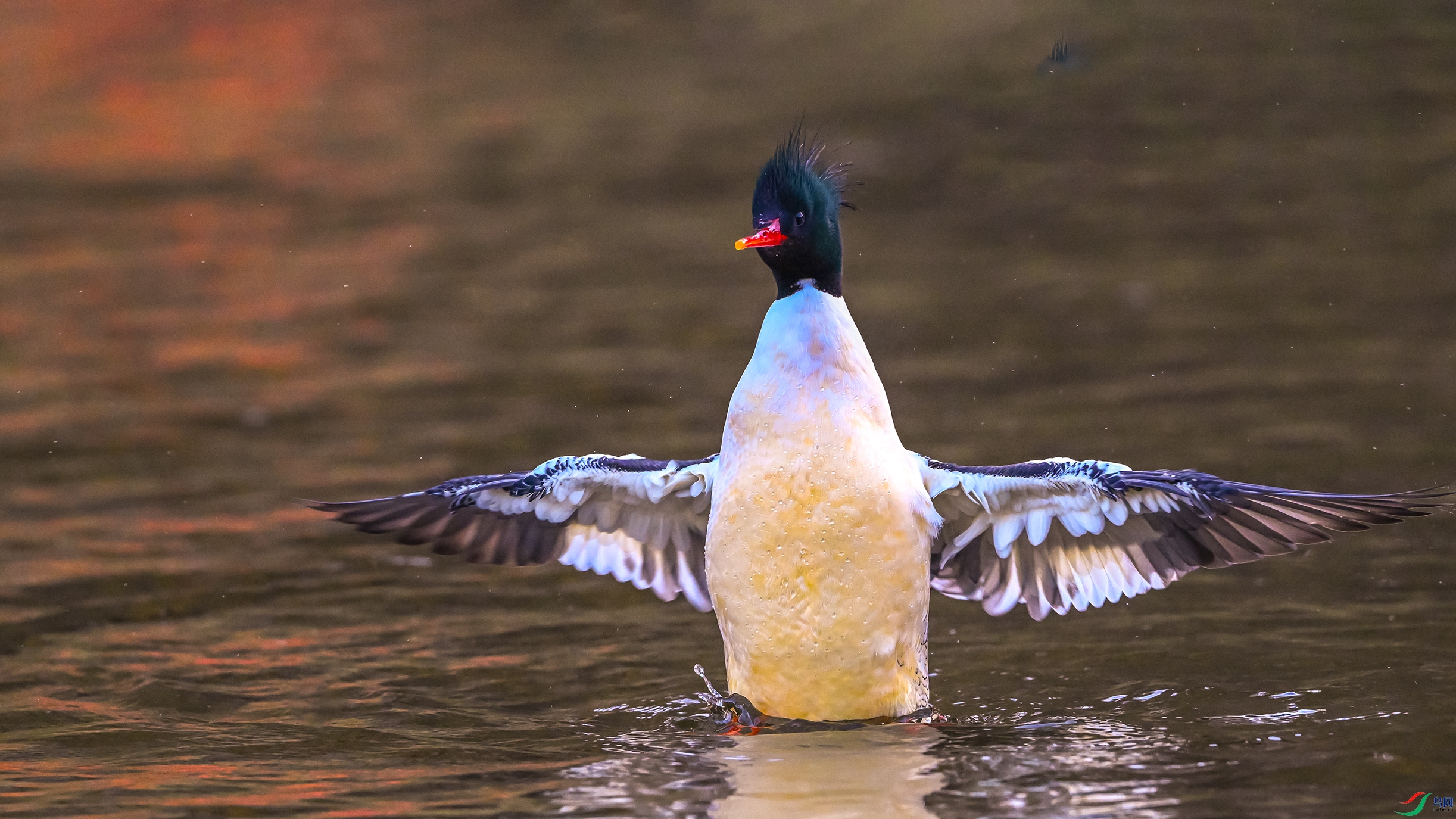 0680 ����.jpg