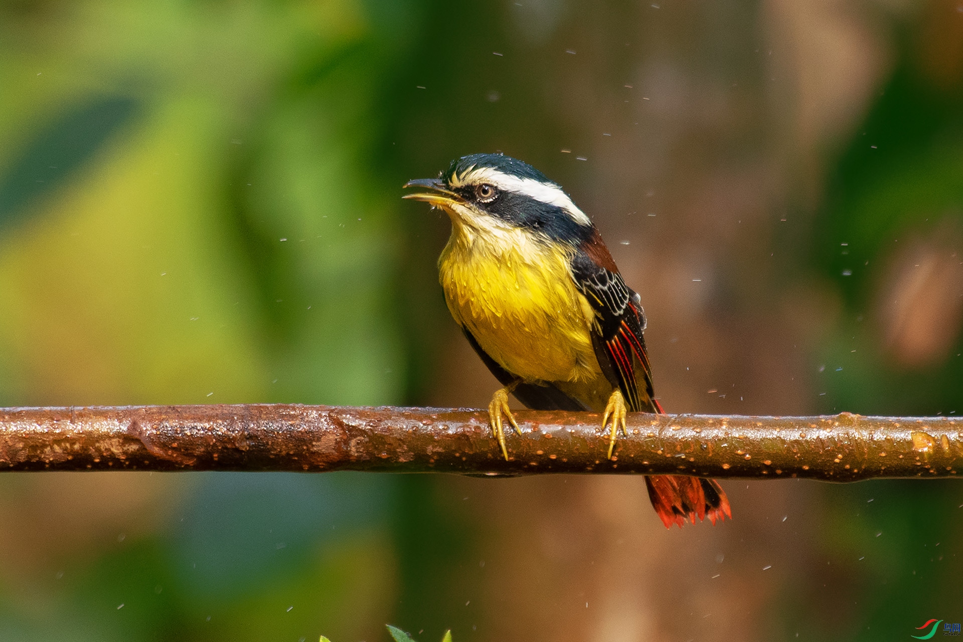 DSC_7598 -1.jpg
