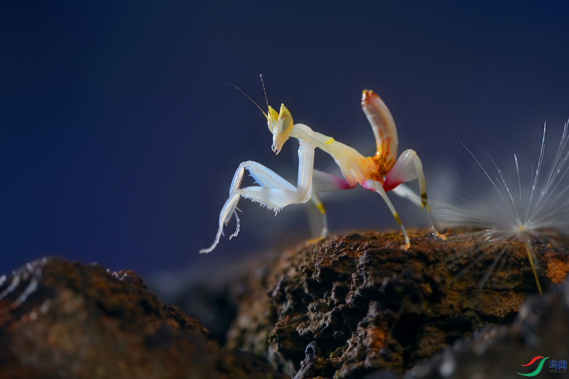 DSC_8760 ����.jpg