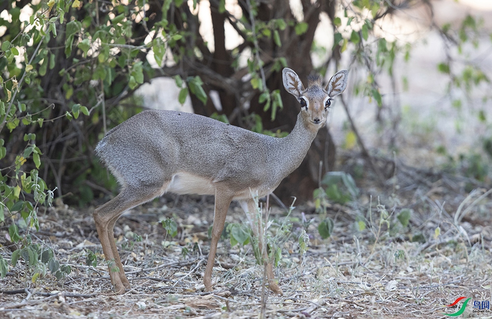 ����Ȯ�� (2).jpg