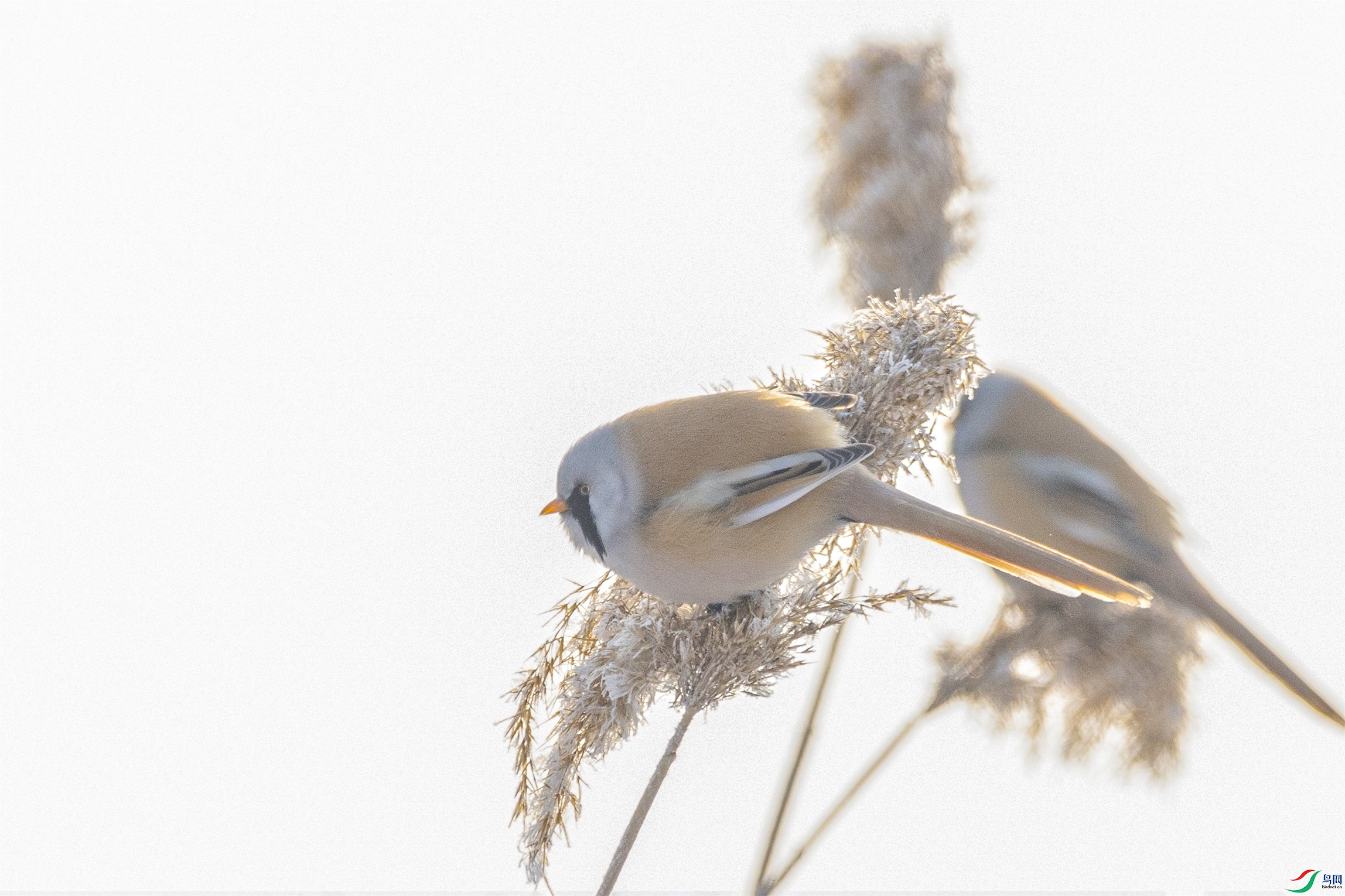 1K3A3380 ����1.jpg