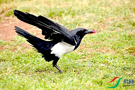 DSC_8023.jpg