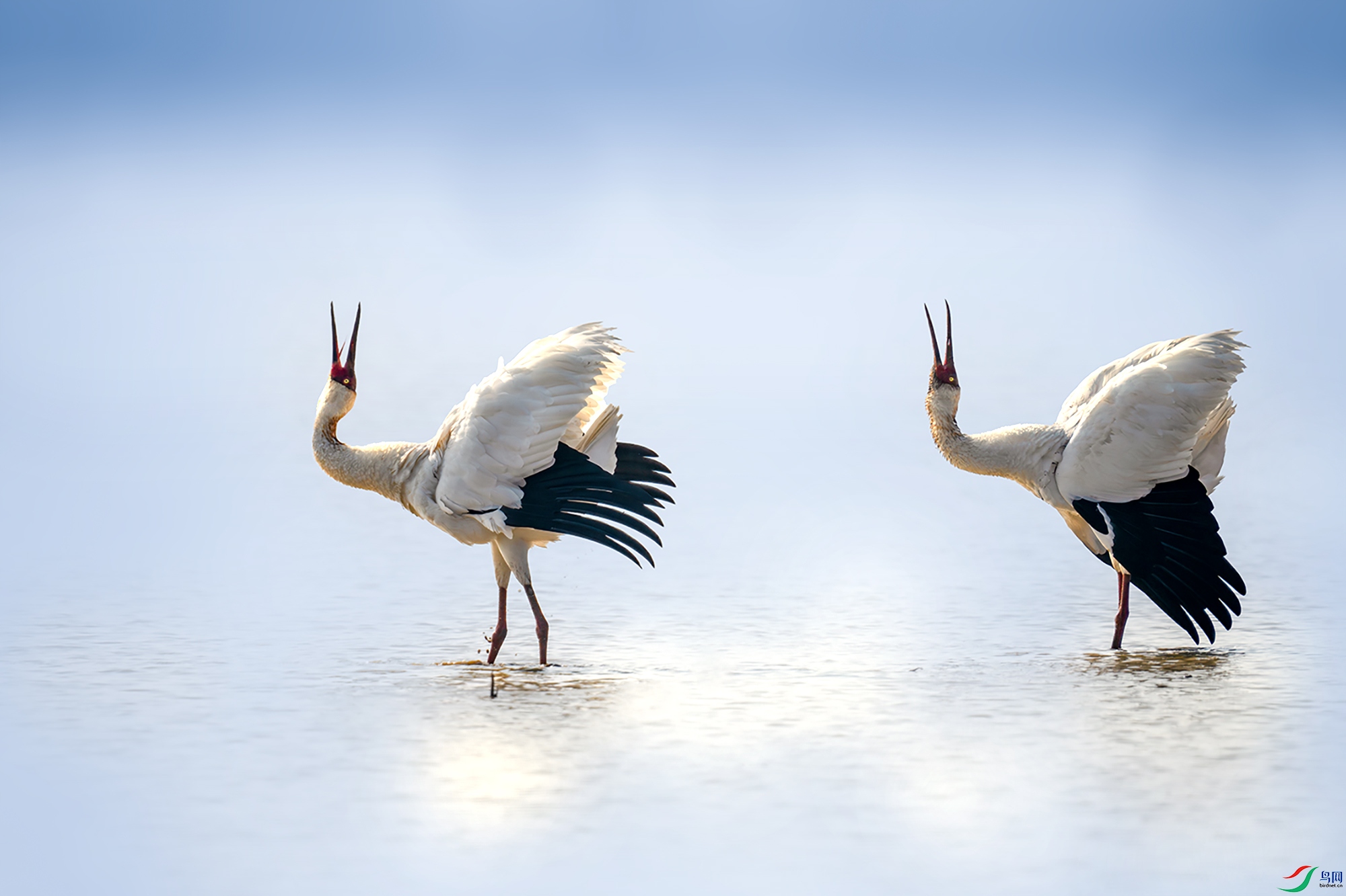 LZW07618-����ǿ-NR ����.jpg