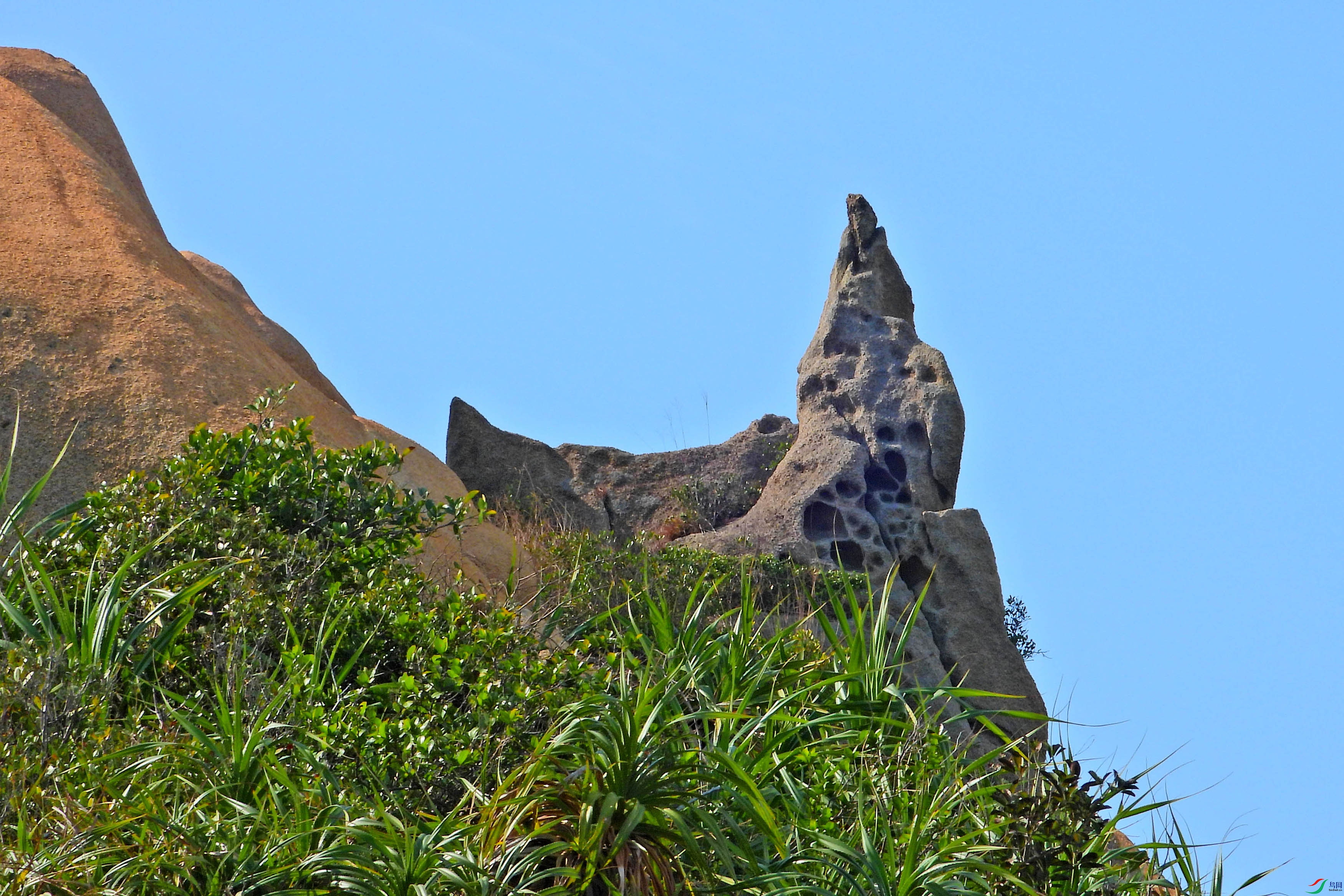 DSCN2117.JPG