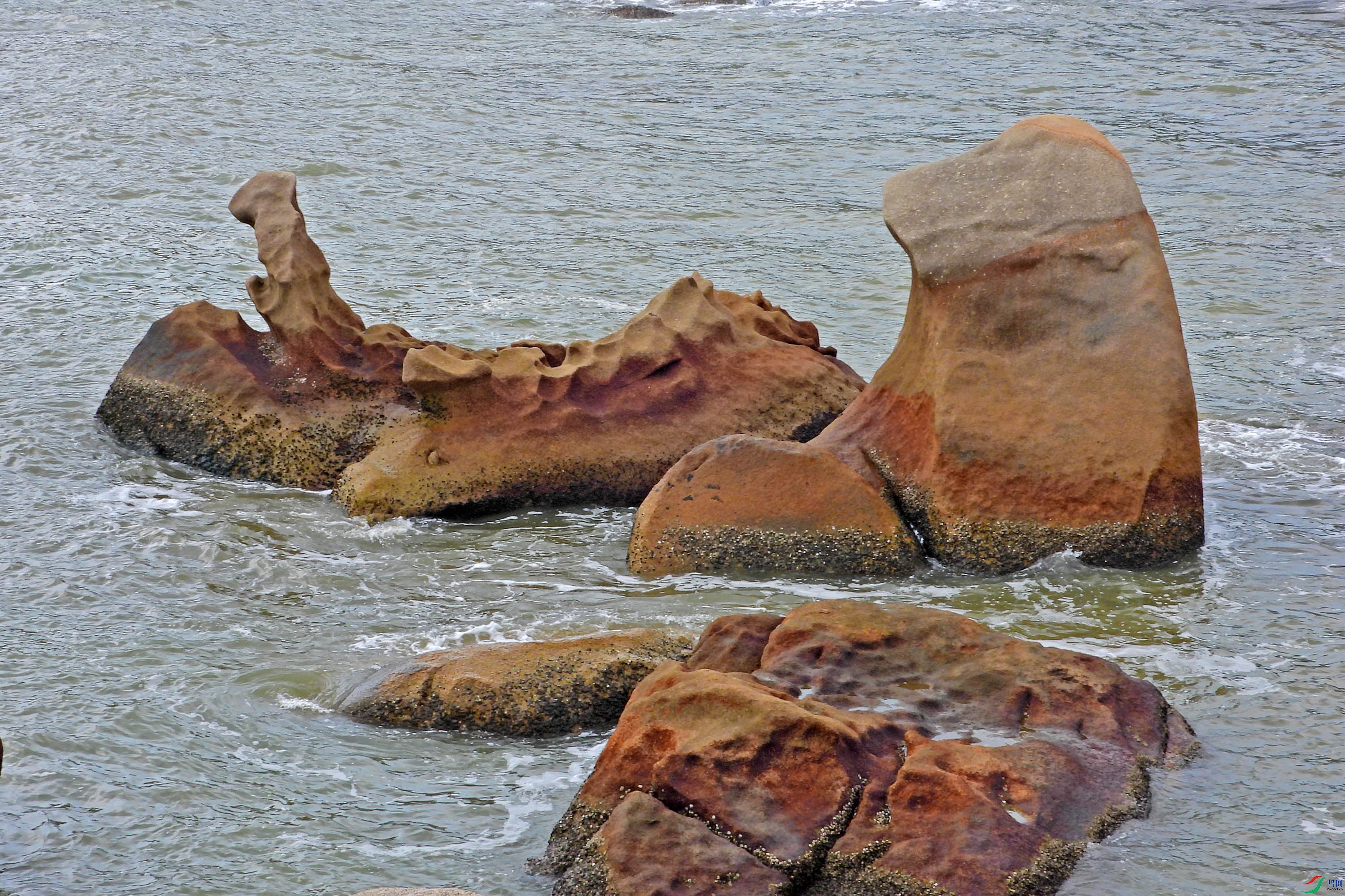 DSCN2145.JPG
