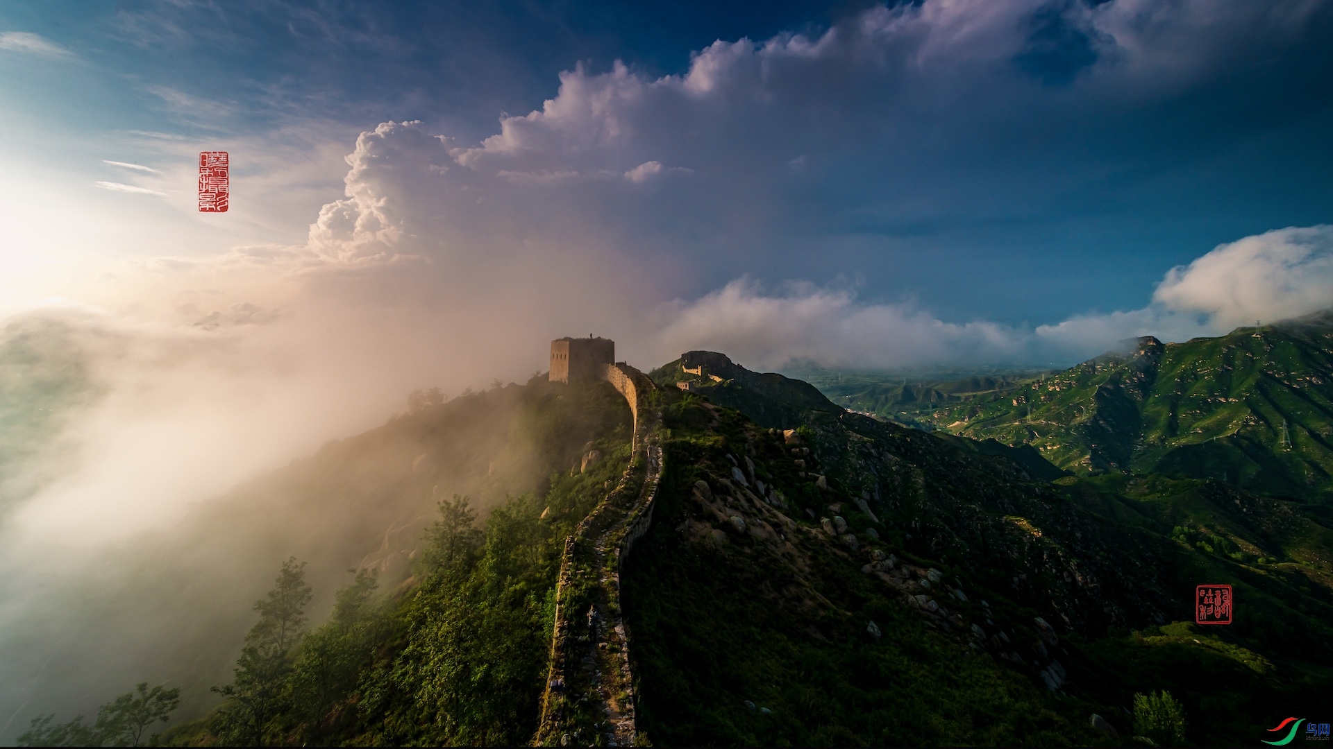 333_XXL4538-1 ���� 4.jpeg